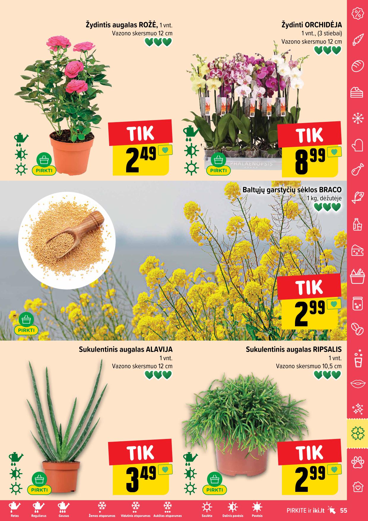 IKI SAVAITĖLĖ akcijų ir nuolaidų leidinys Nr.31 2025.07.28 - 2025.08.03