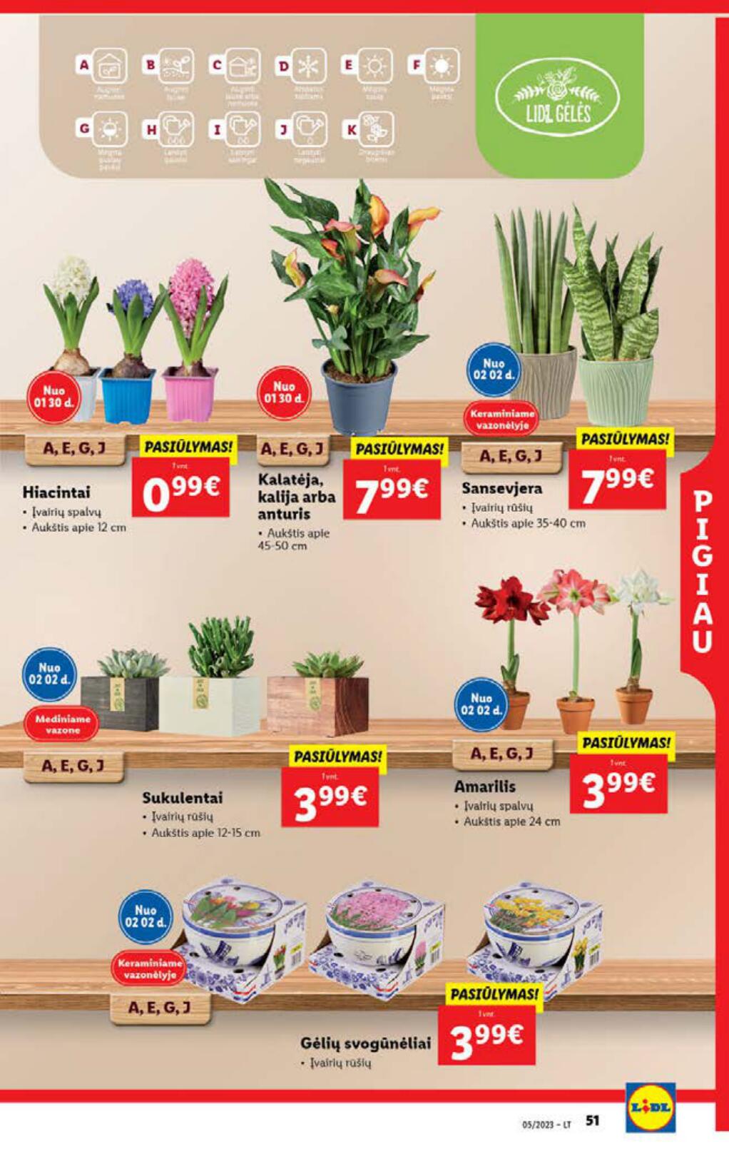 Naujausias LIDL kaininis katalogas 2023.01.30 - 2023.02.05