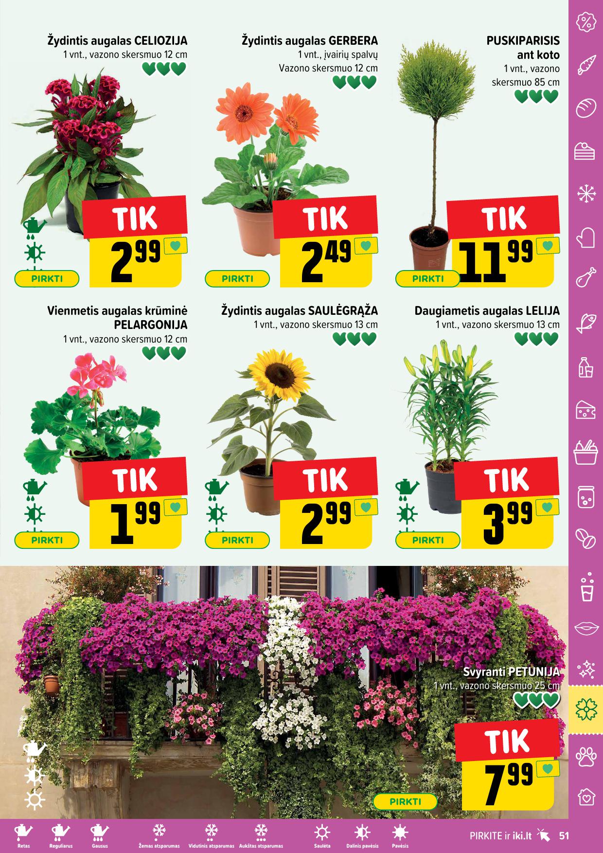 Naujausias IKI kaininis katalogas 2025.05.05 - 2025.05.11