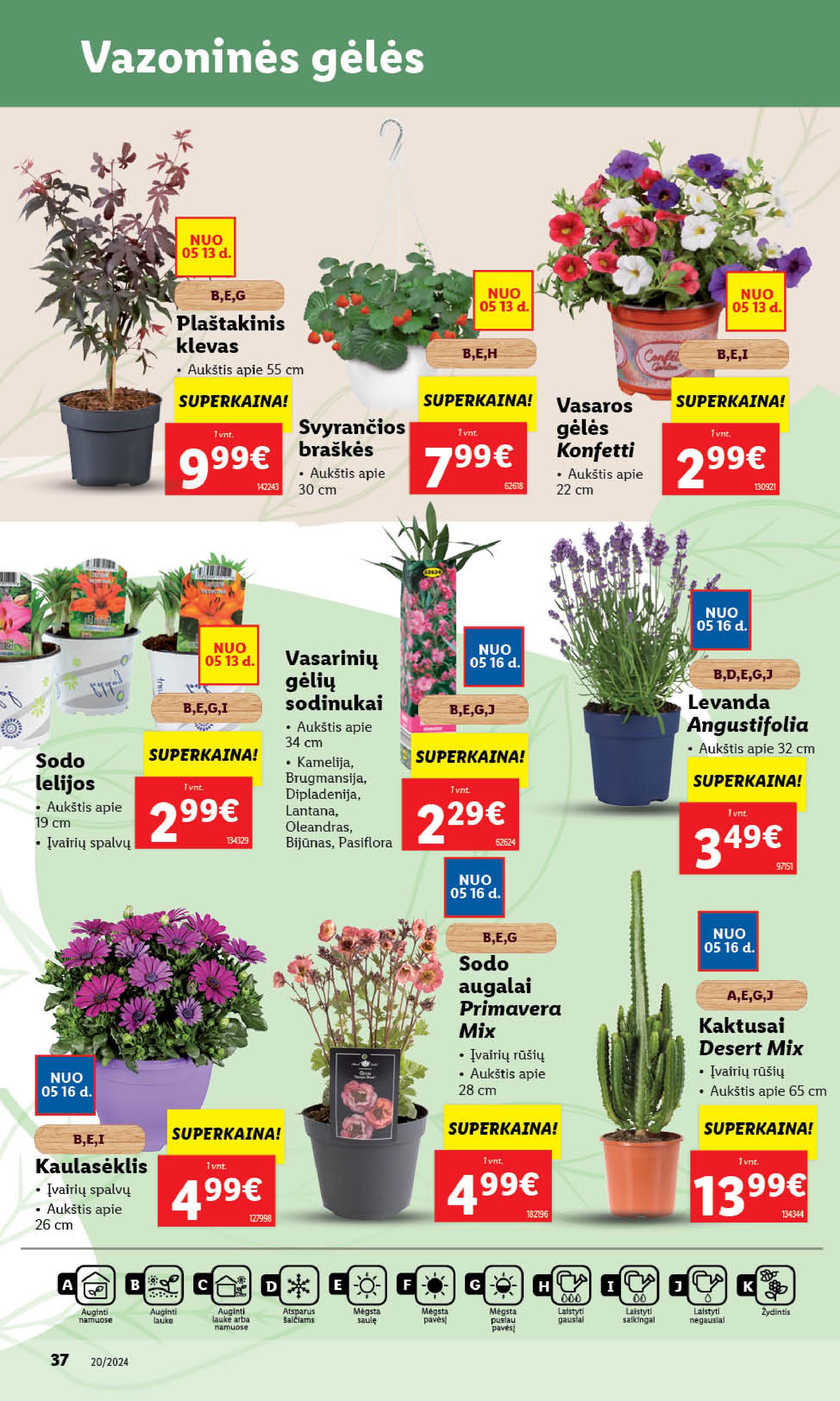 Naujausias LIDL kaininis katalogas 2024.05.13 - 2024.05.19