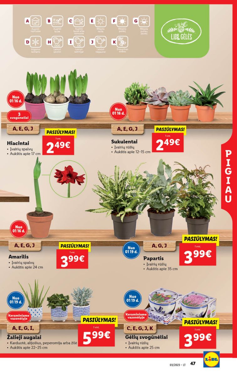 Naujausias LIDL kaininis katalogas 2023.01.16 - 2023.01.22