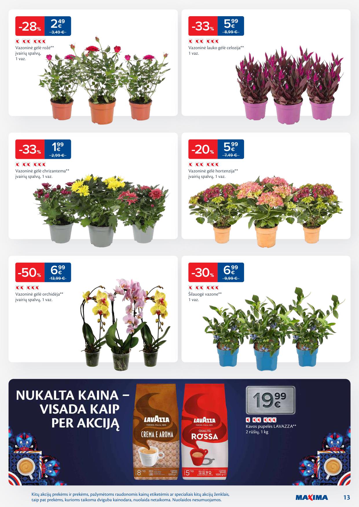 Naujausias MAXIMA kaininis katalogas 2025.07.22 - 2025.07.28