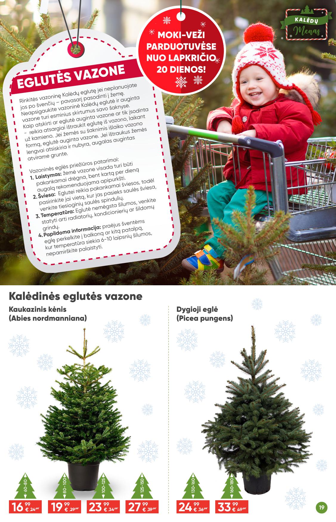 MOKI VEŽI Kalėdinis katalogas "Kalėdų menas" 2024.11.07 - 2024.12.03
