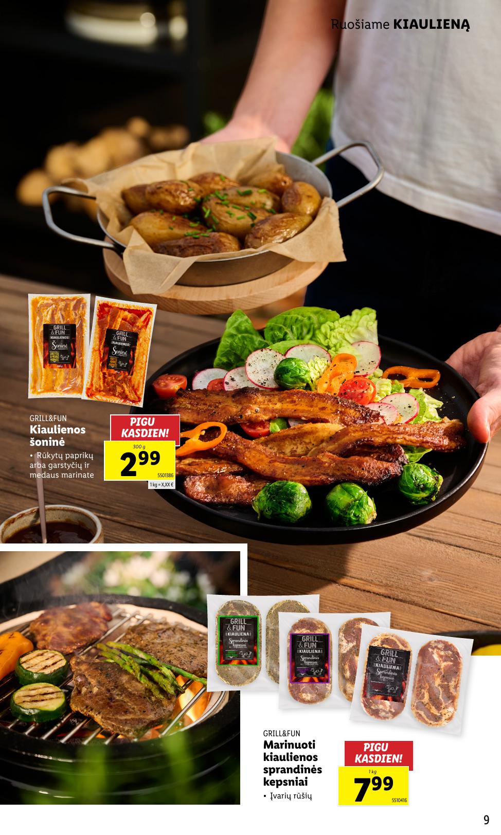LIDL katalogas "Grill & Fun"