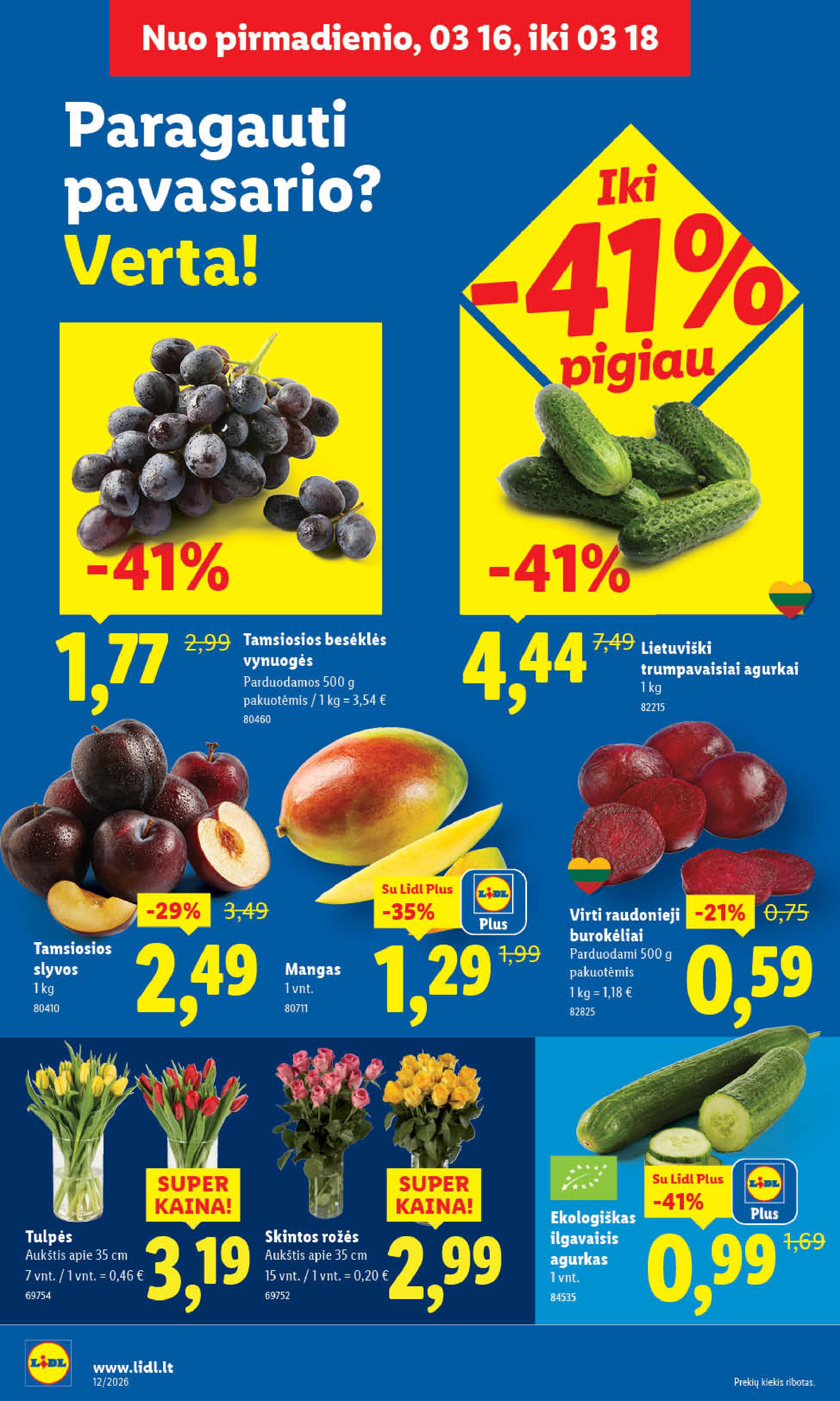 Naujausias LIDL kaininis katalogas 2026.03.16 - 2026.03.22