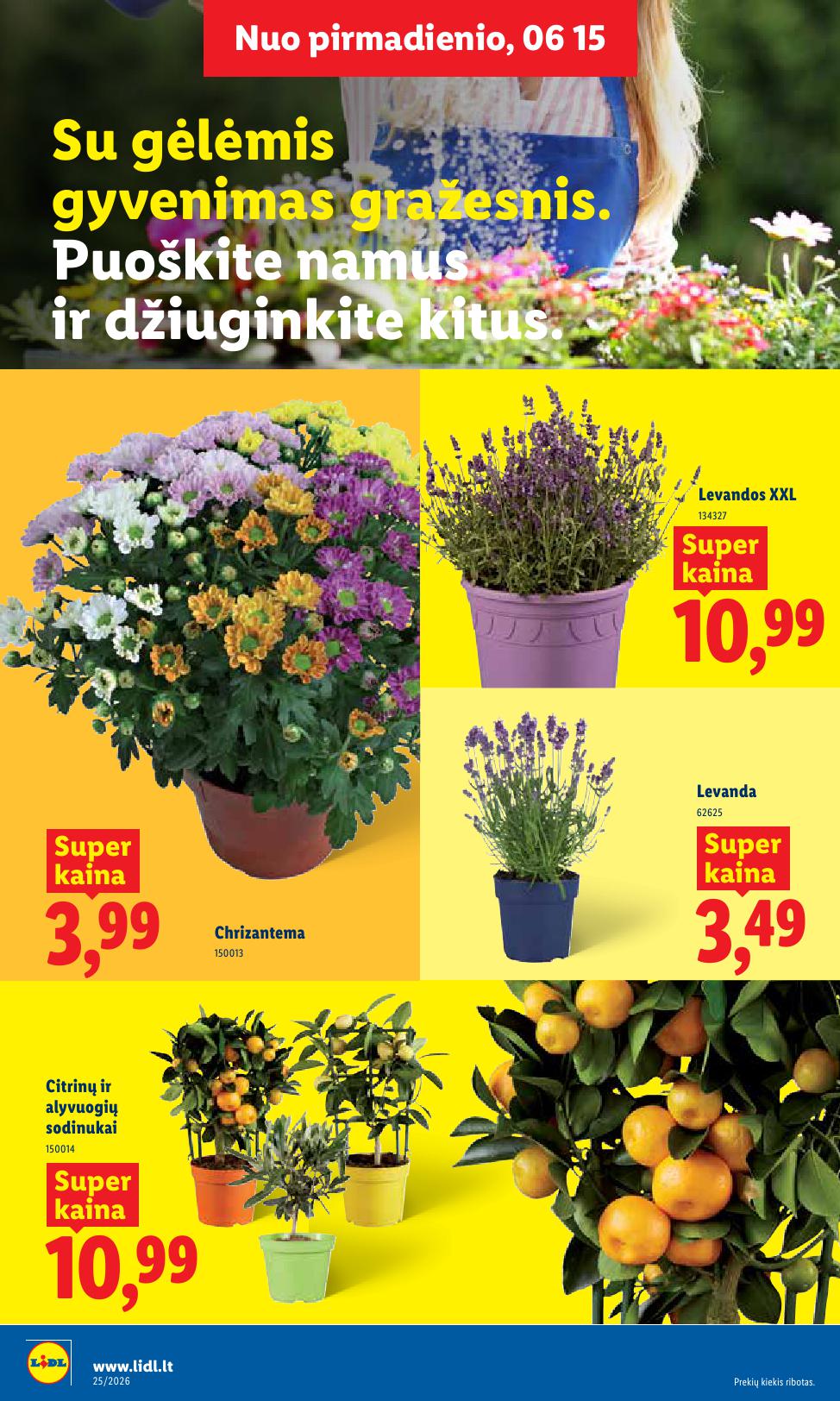 Naujausias LIDL kaininis katalogas 2026.06.15 - 2026.06.21