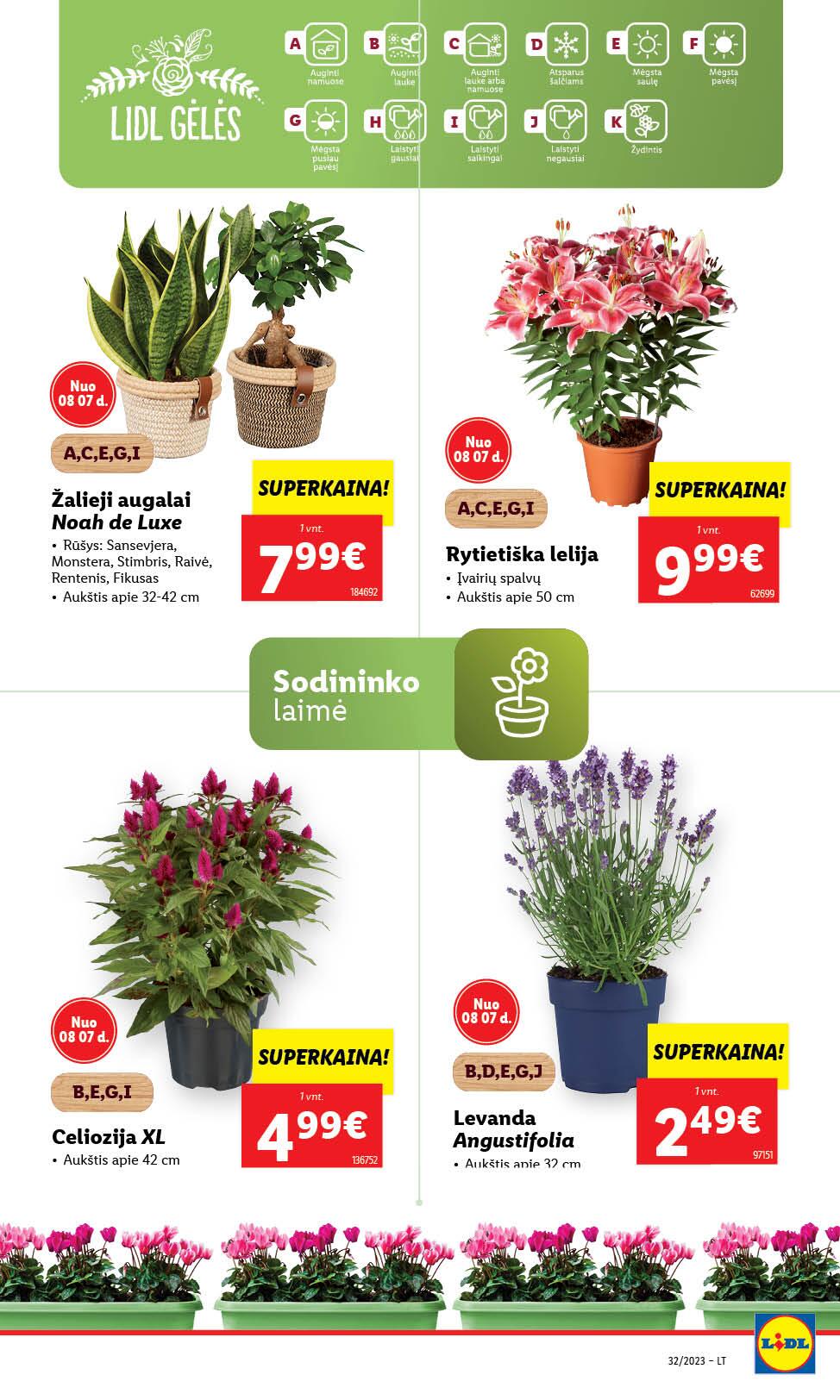Naujausias LIDL kaininis katalogas 2023.08.07 - 2023.08.13