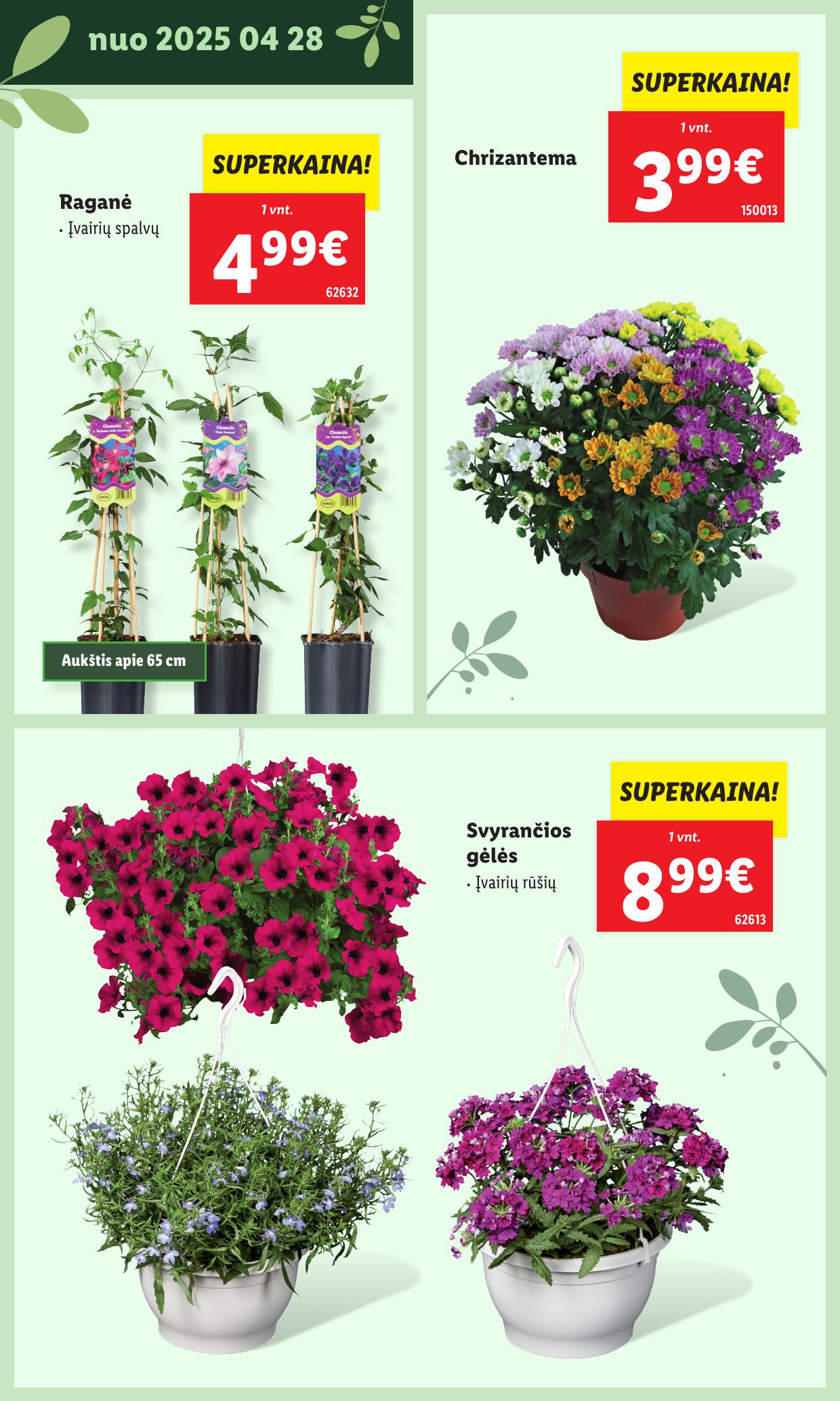 LIDL katalogas "Švenčiame sodą" galioja nuo 2025.05.12