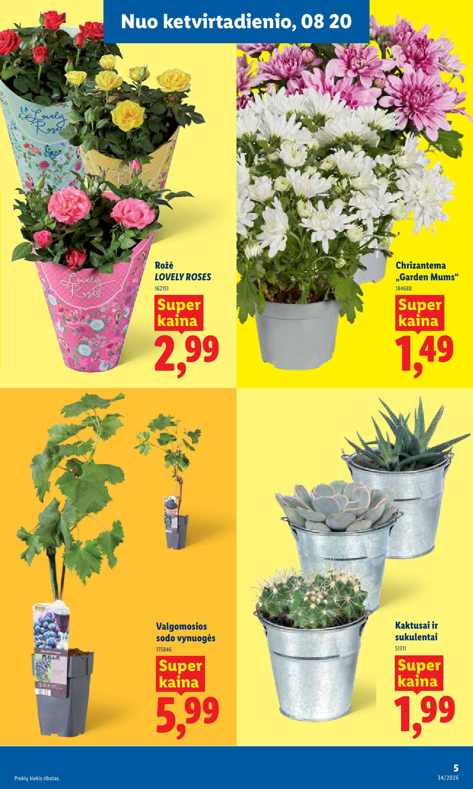 Naujausias LIDL kaininis katalogas 2026.08.17 - 2026.08.23