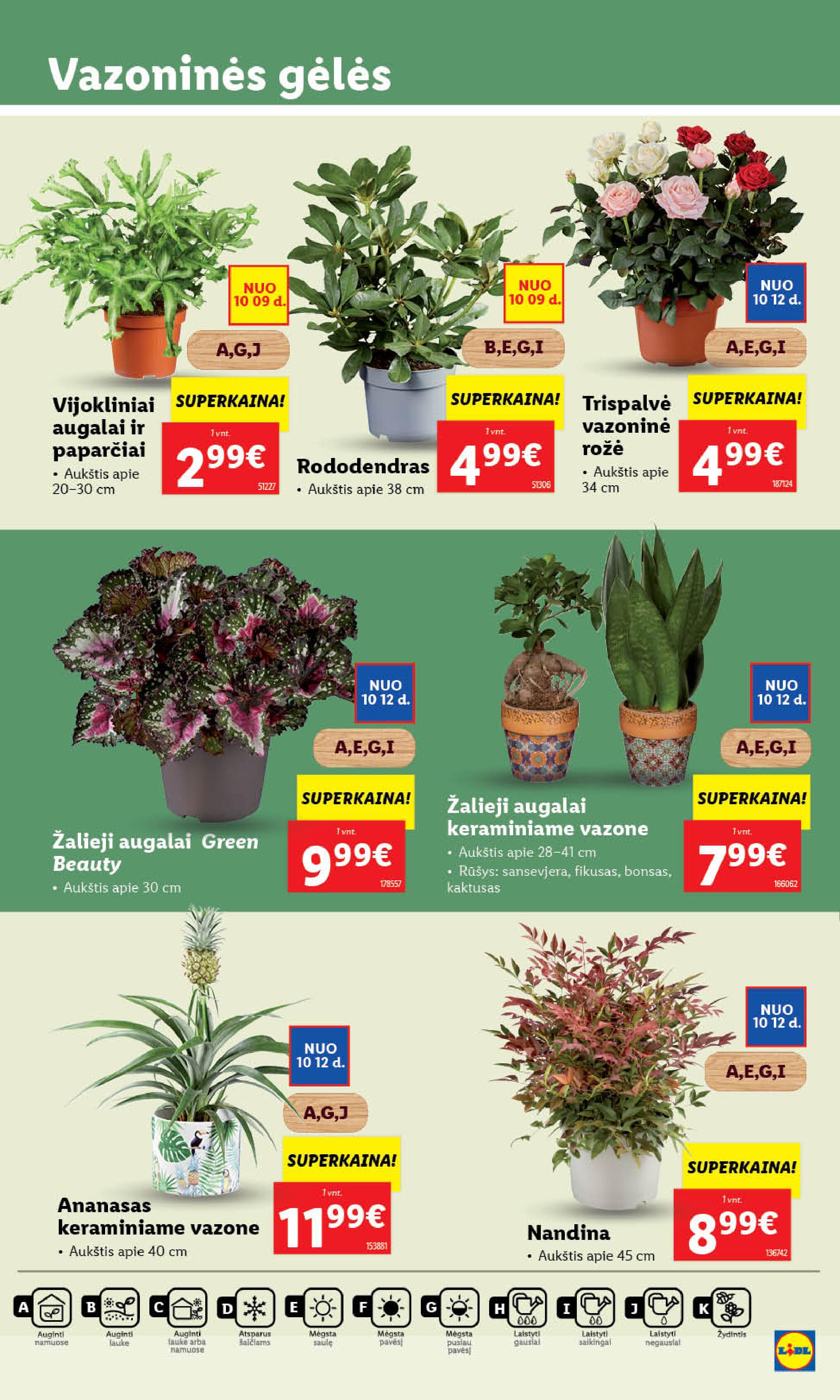 Naujausias LIDL kaininis katalogas 2023.10.09 - 2023.10.15