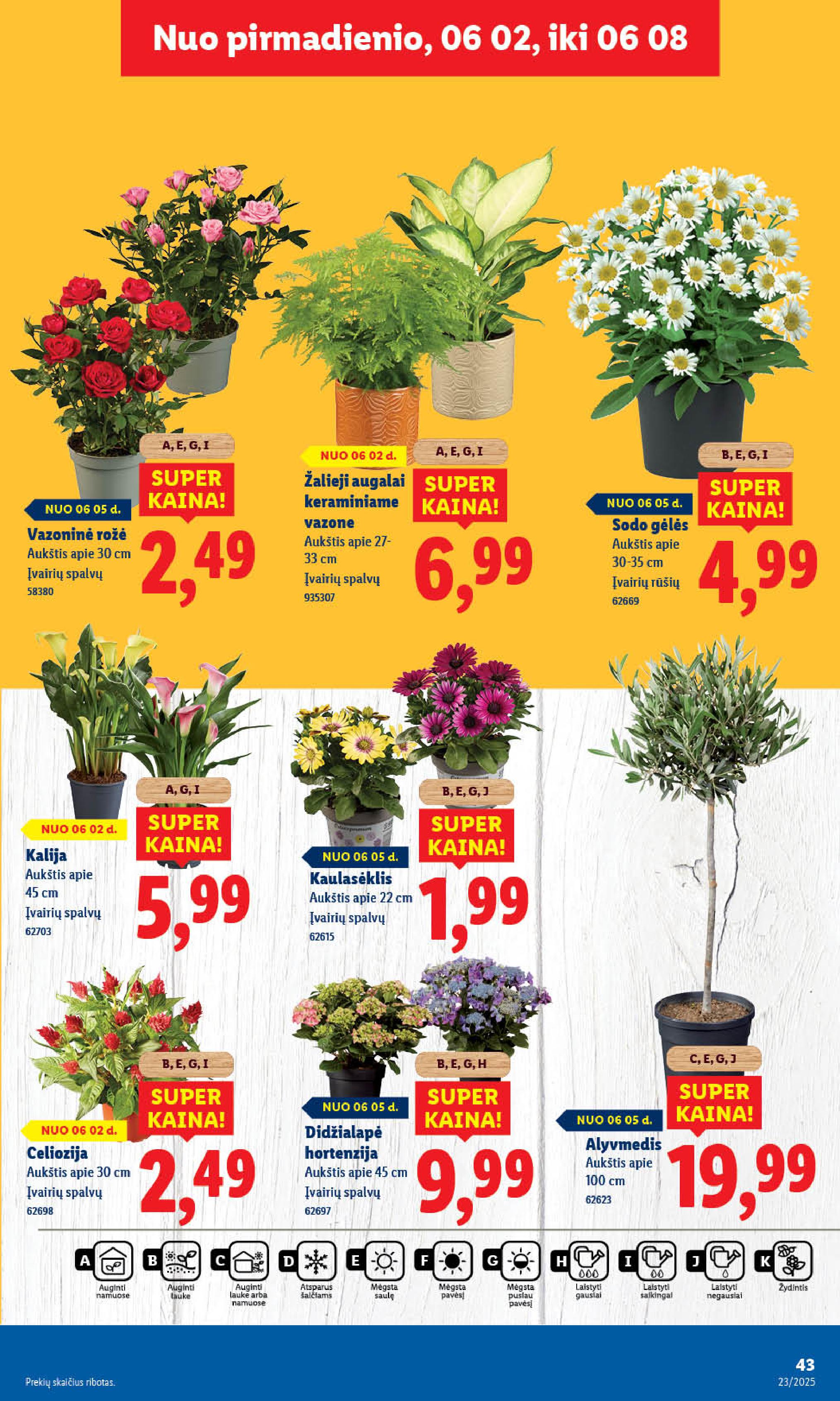 Naujausias LIDL kaininis katalogas 2025.06.02 - 2025.06.08