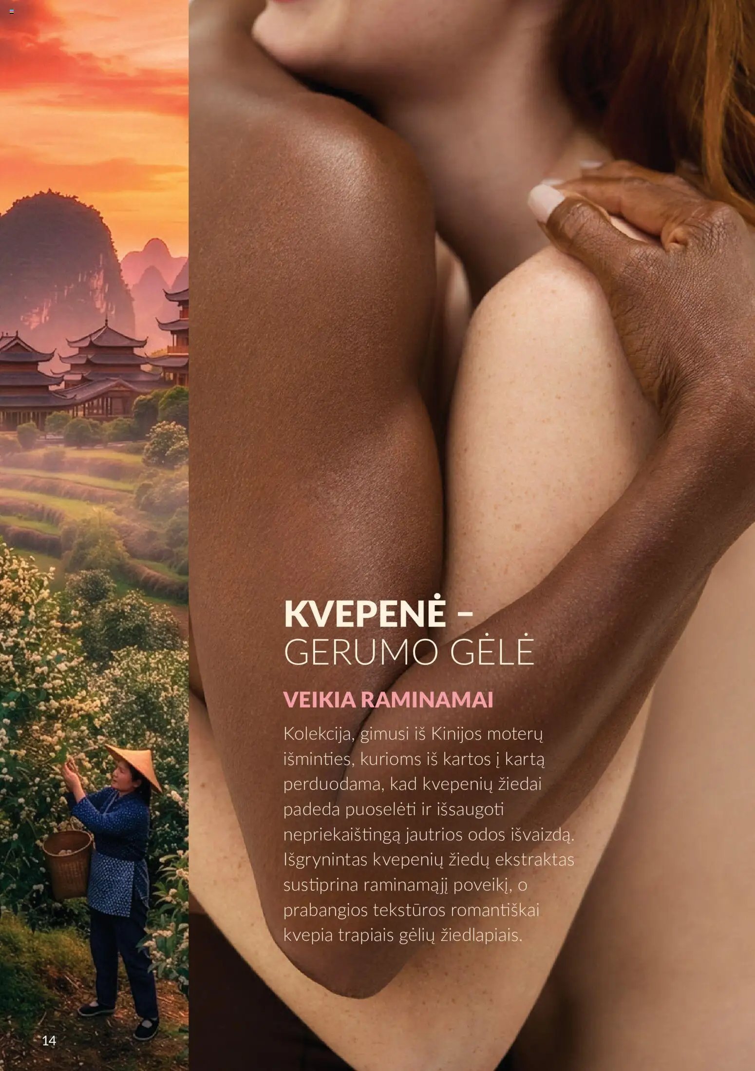 AVON katalogas galioja 2026.10.01 - 2026.10.31