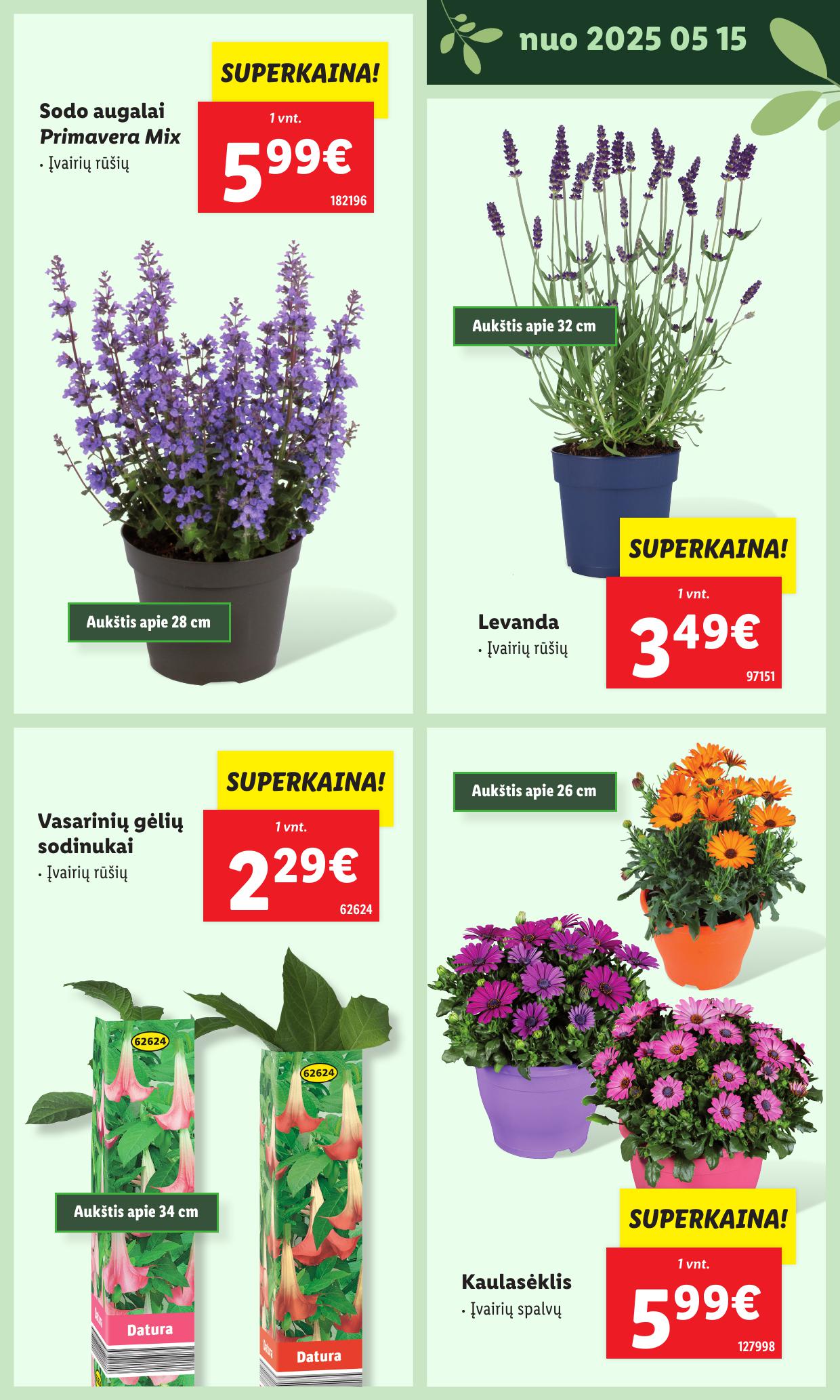 LIDL katalogas "Švenčiame sodą" galioja nuo 2025.05.12