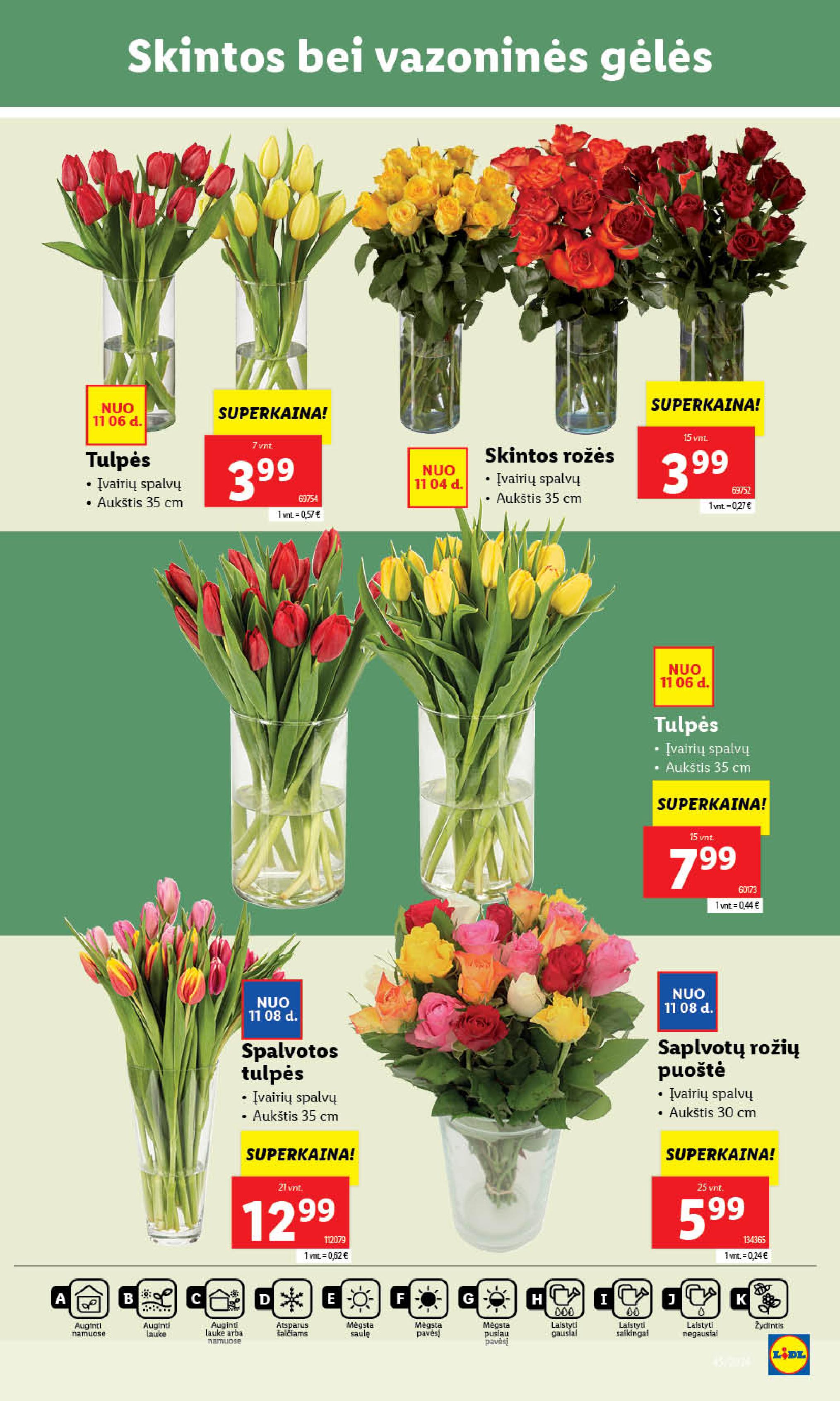 Naujausias LIDL kaininis katalogas 2024.11.04 - 2024.11.10