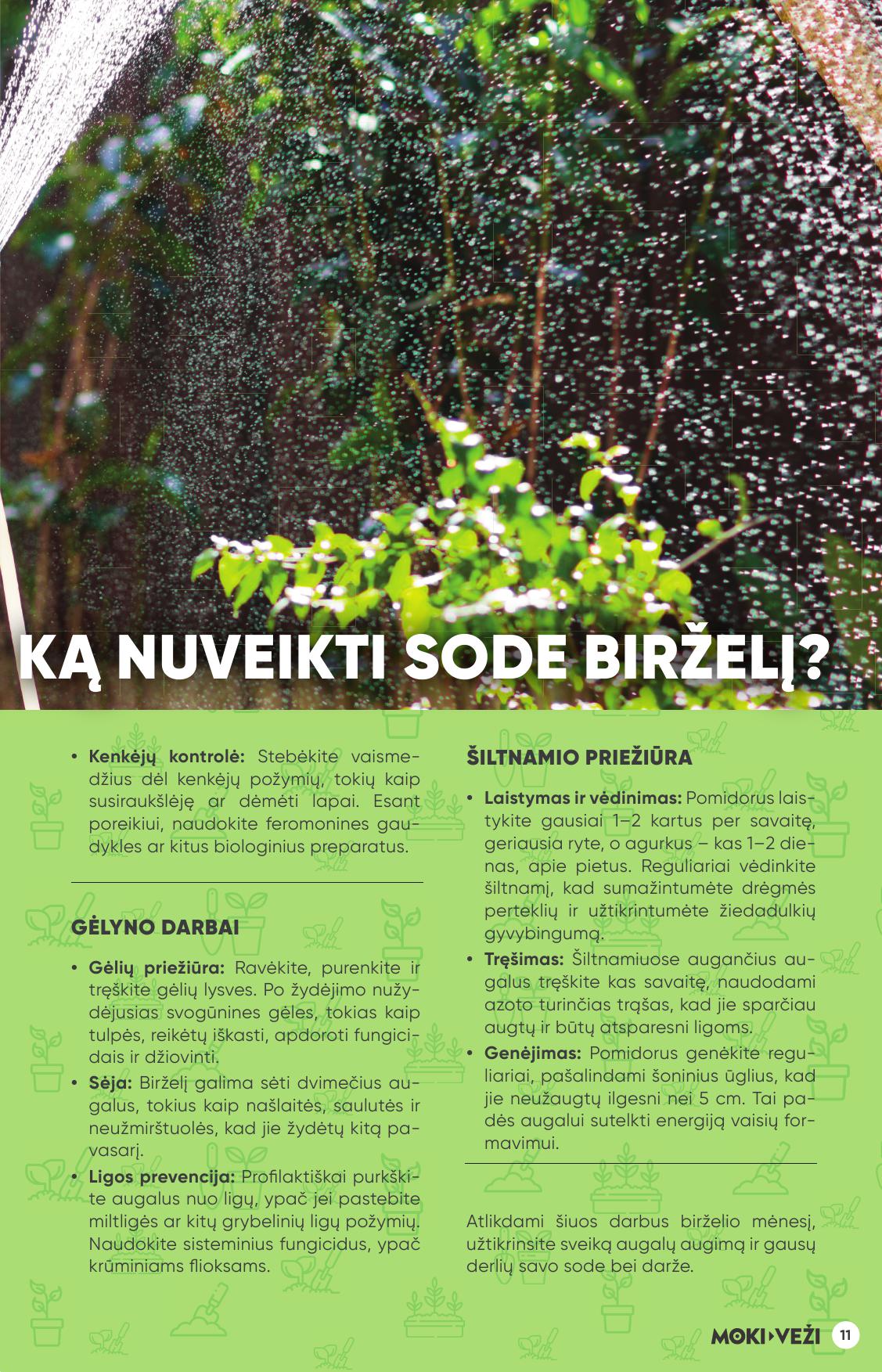 Naujas MOKI VEŽI akcijų ir nuolaidų leidinys Nr.6 2025.05.29 iki 2025.06.24
