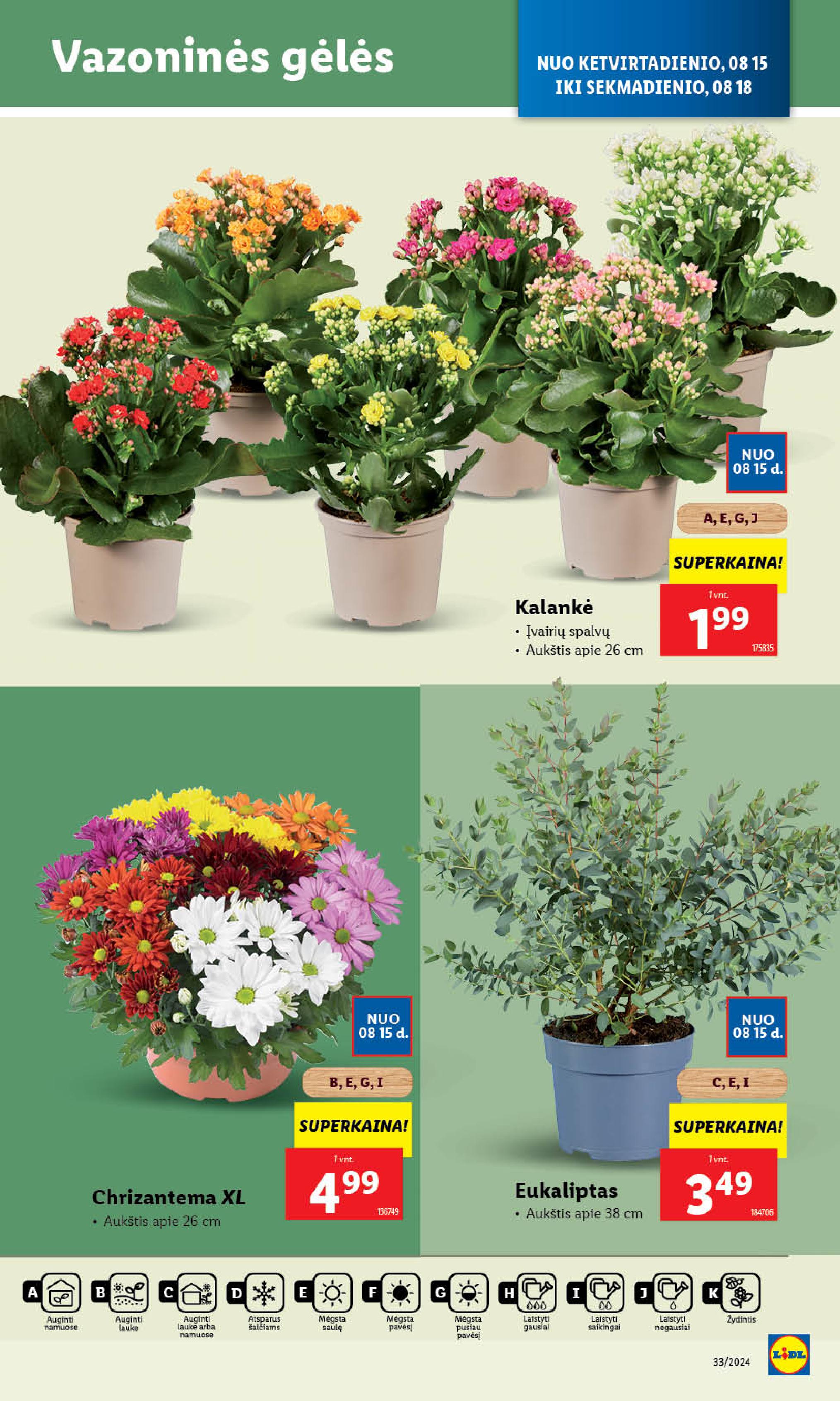 Naujausias LIDL kaininis katalogas 2024.08.12 - 2024.08.18