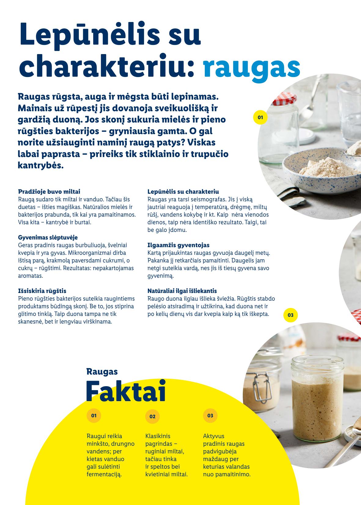 LIDL Velykinis katalogas "Velykos pilnos džiaugsmo"