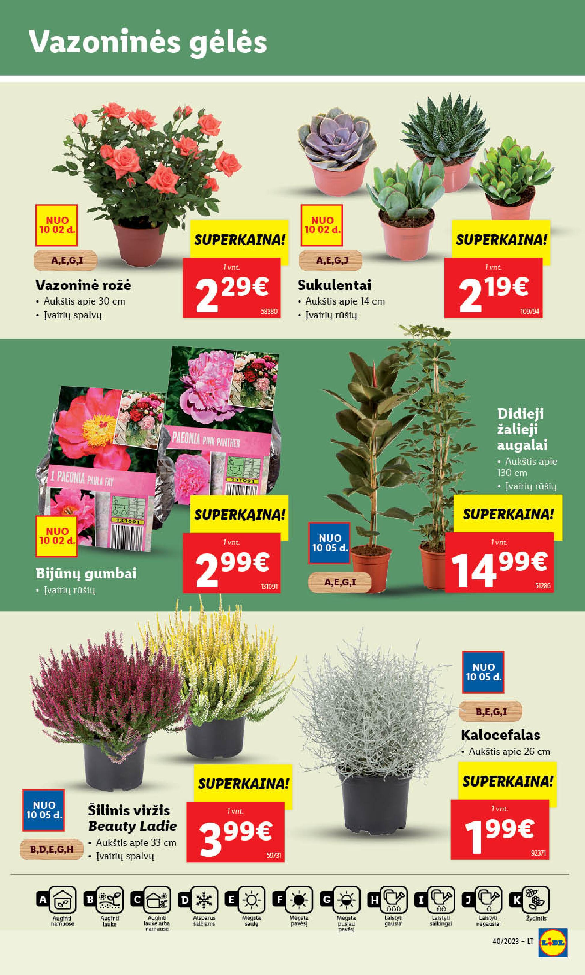 Naujausias LIDL kaininis katalogas 2023.10.02 - 2023.10.08