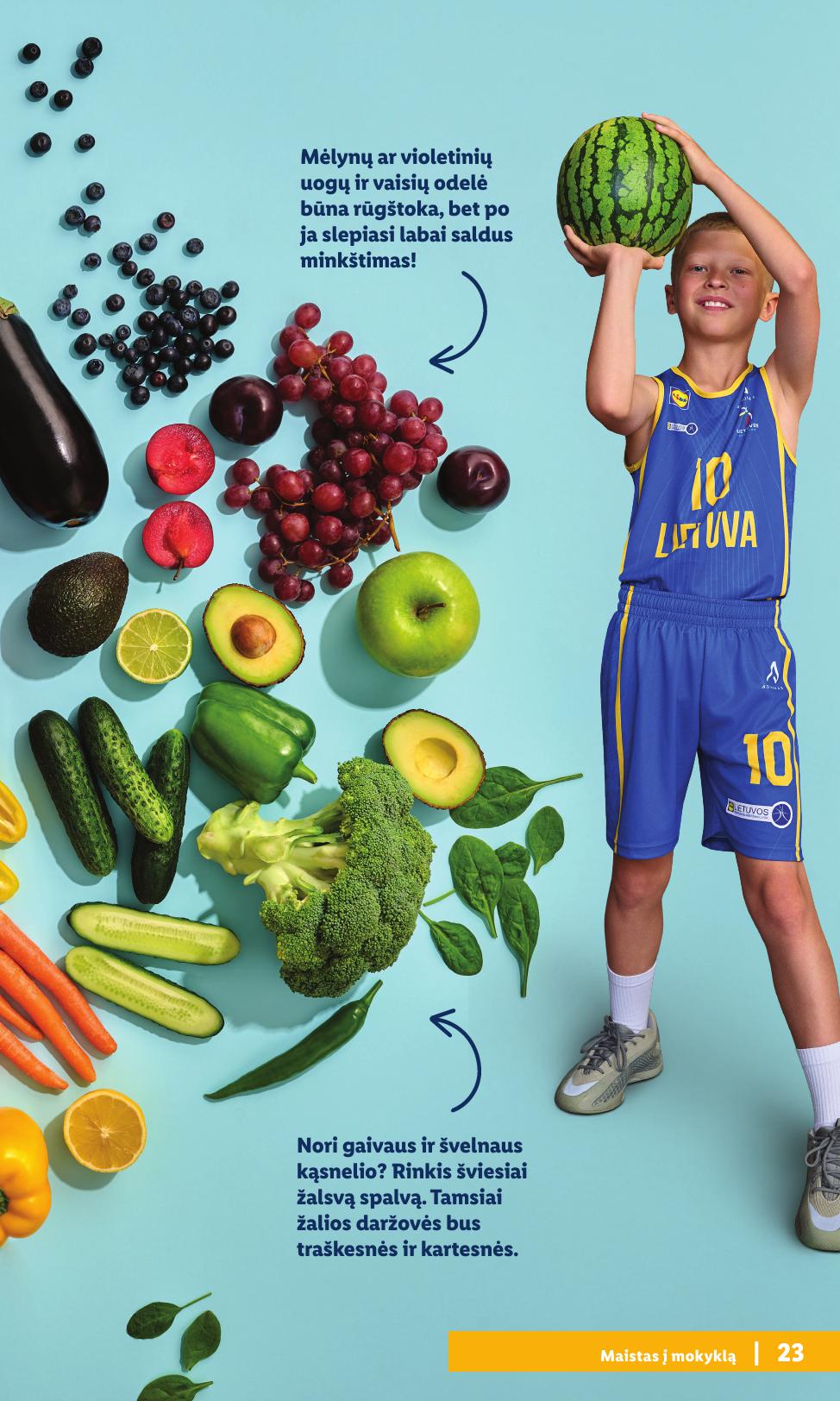 LIDL mokyklinių prekių katalogas "Atgal į mokyklą"
