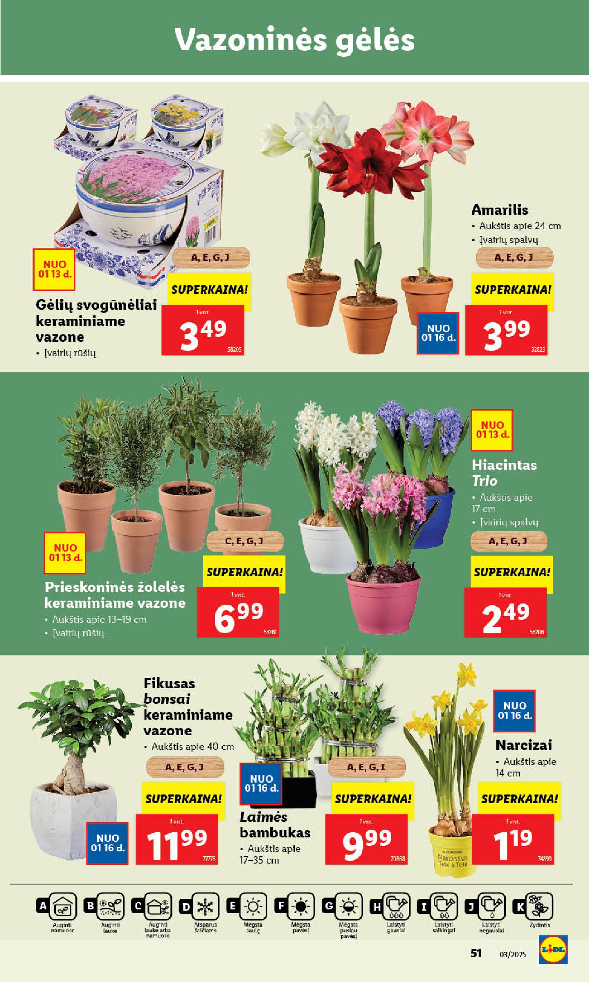 Naujausias LIDL kaininis katalogas 2025.01.13 - 2025.01.19