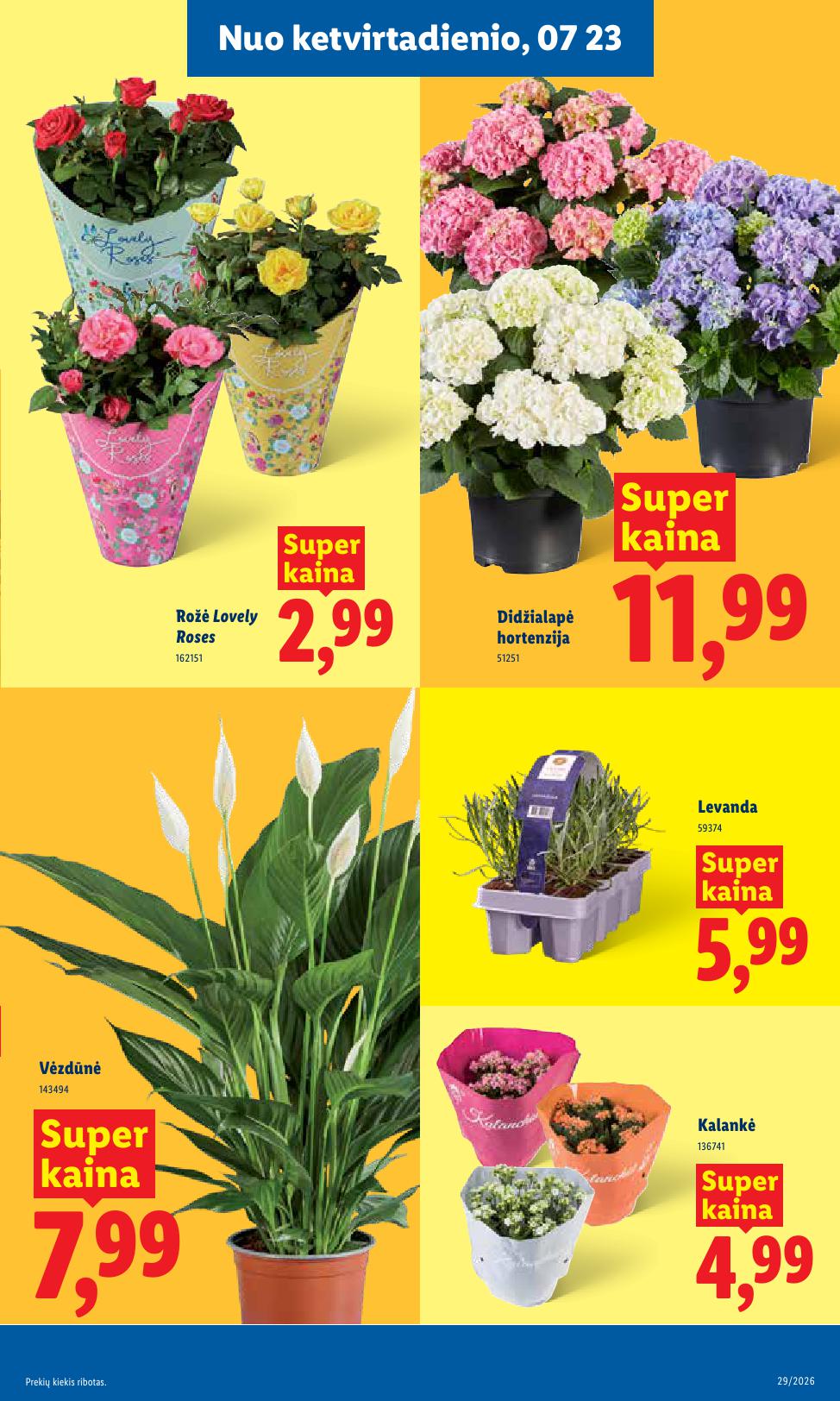 Naujausias LIDL kaininis katalogas 2026.07.20 - 2026.07.26