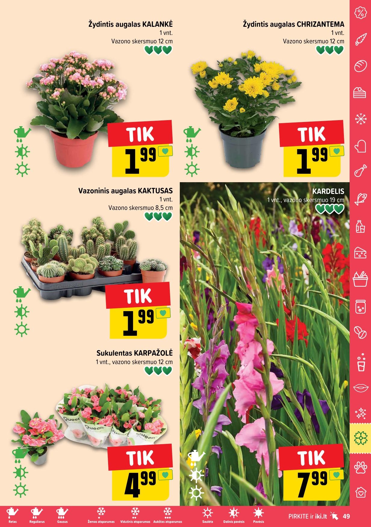 IKI SAVAITĖLĖ akcijų ir nuolaidų leidinys Nr.34 2025.08.18 - 2025.08.24