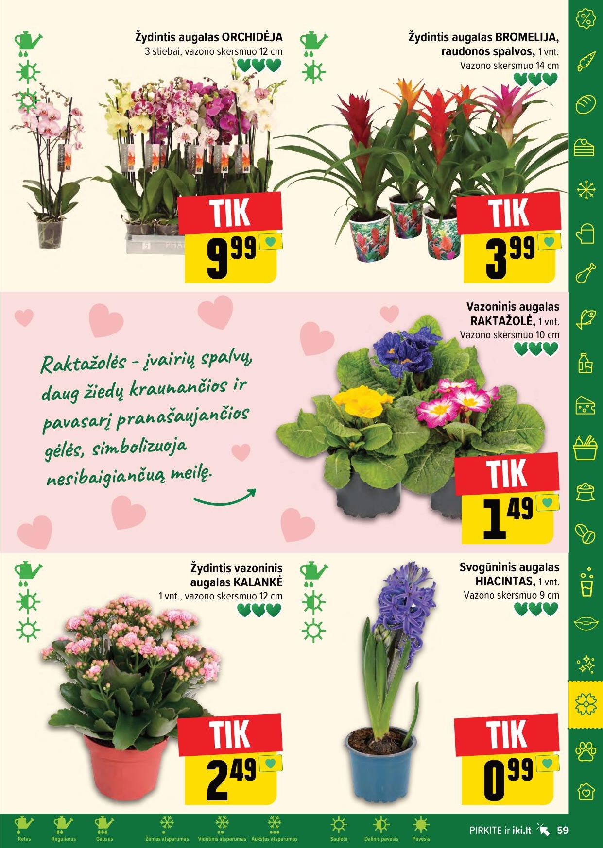Naujausias IKI kaininis katalogas 2024.02.12 - 2024.02.18