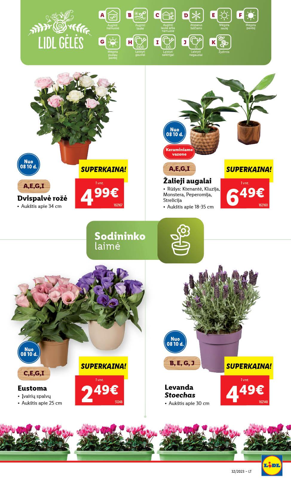 Naujausias LIDL kaininis katalogas 2023.08.07 - 2023.08.13