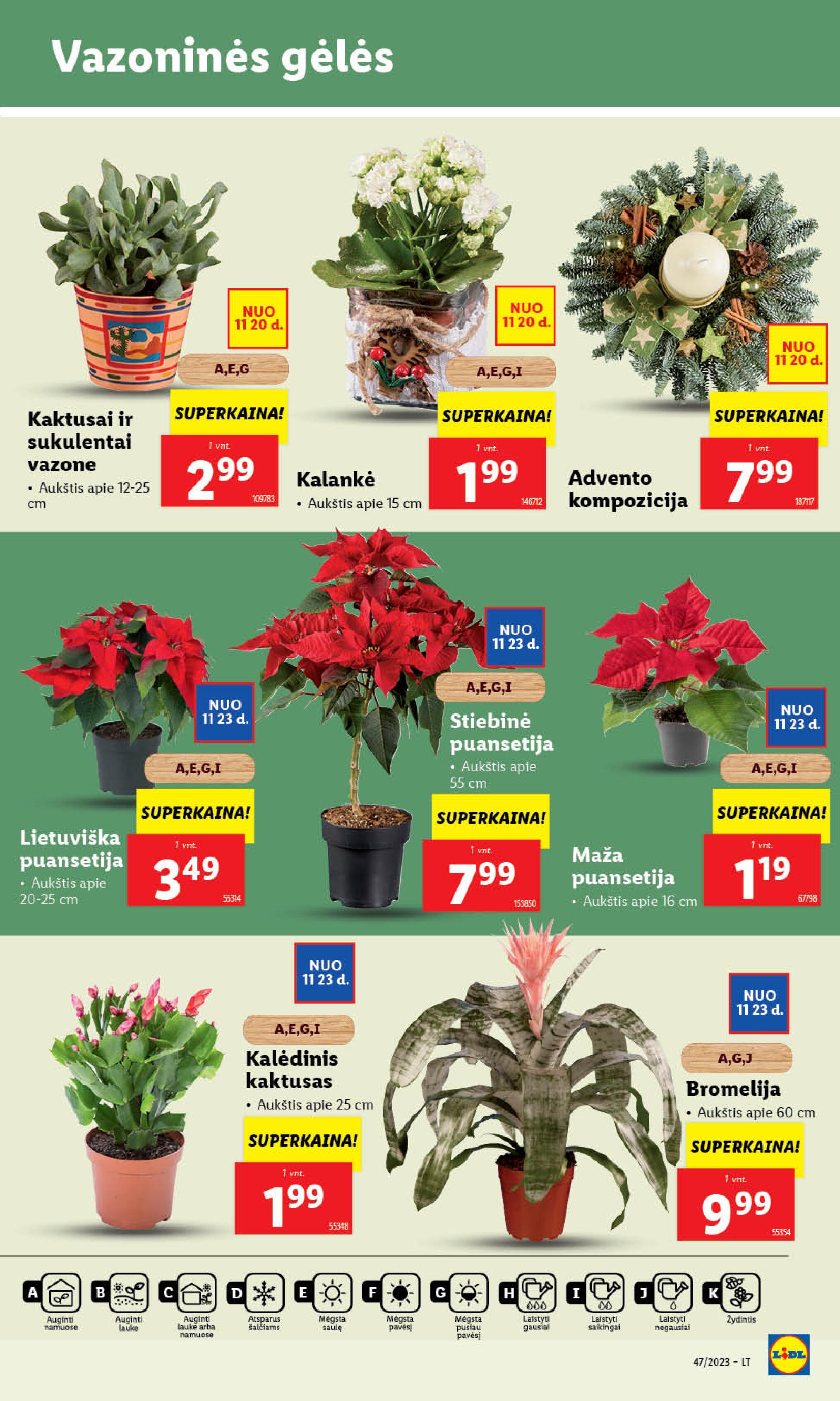 Naujausias LIDL kaininis katalogas 2023.11.20 - 2023.11.26