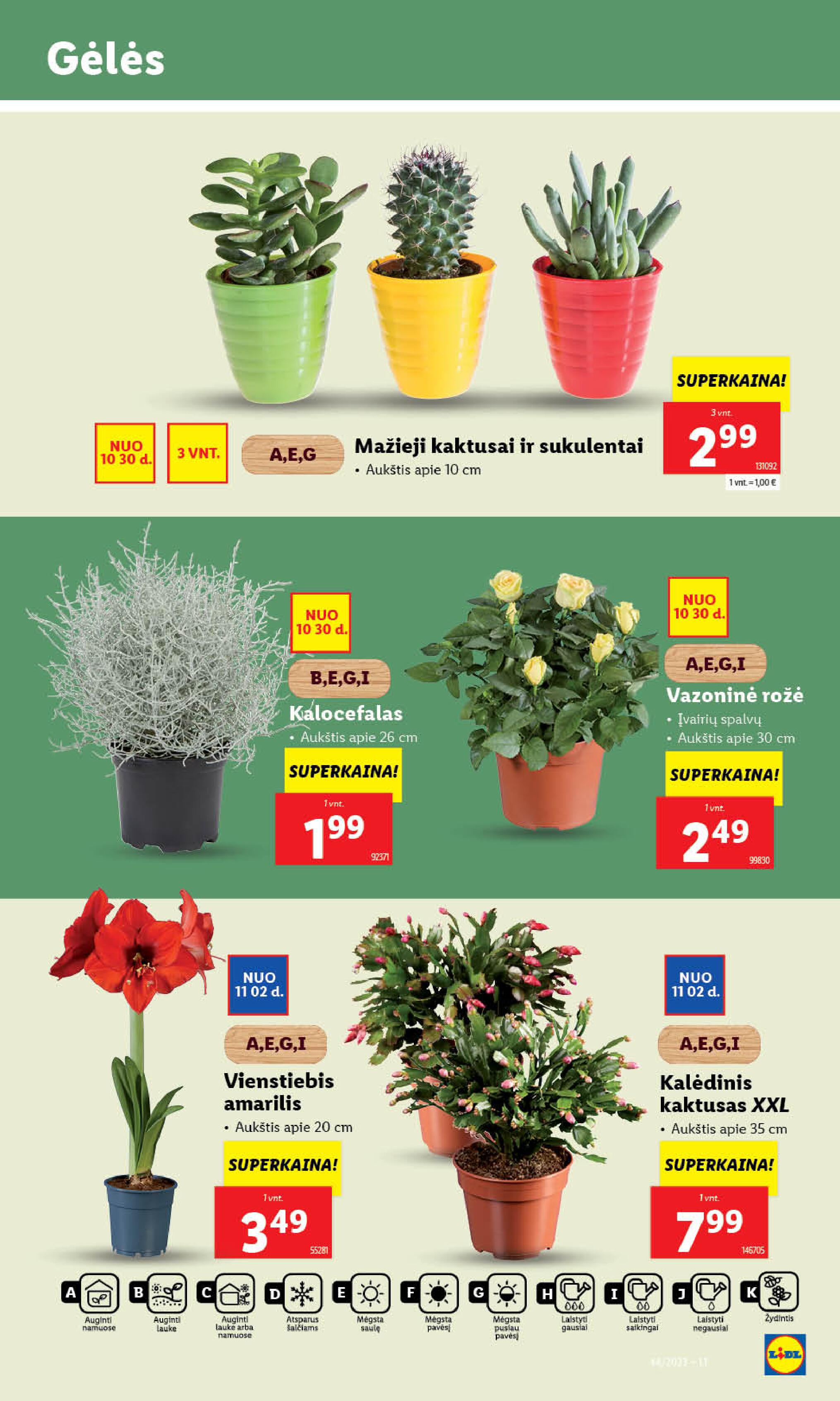 Naujausias LIDL kaininis katalogas 2023.10.30 - 2023.11.05