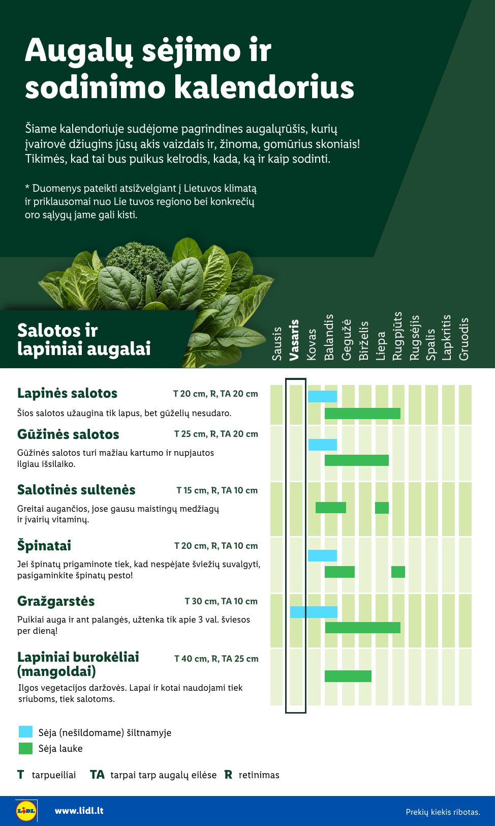 LIDL katalogas "Sodui valio !" galioja nuo 2026.02.16
