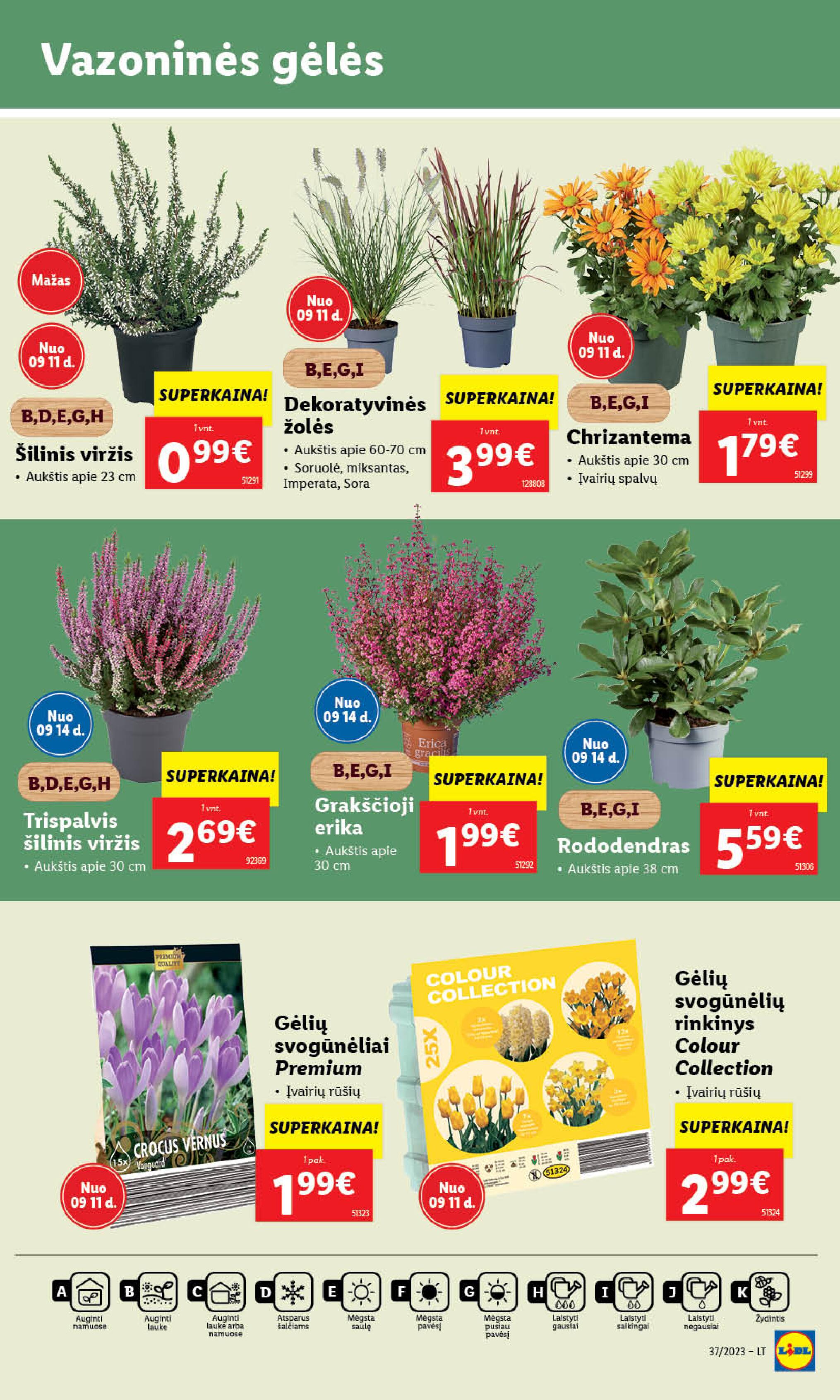 Naujausias LIDL kaininis katalogas 2023.09.11 - 2023.09.17