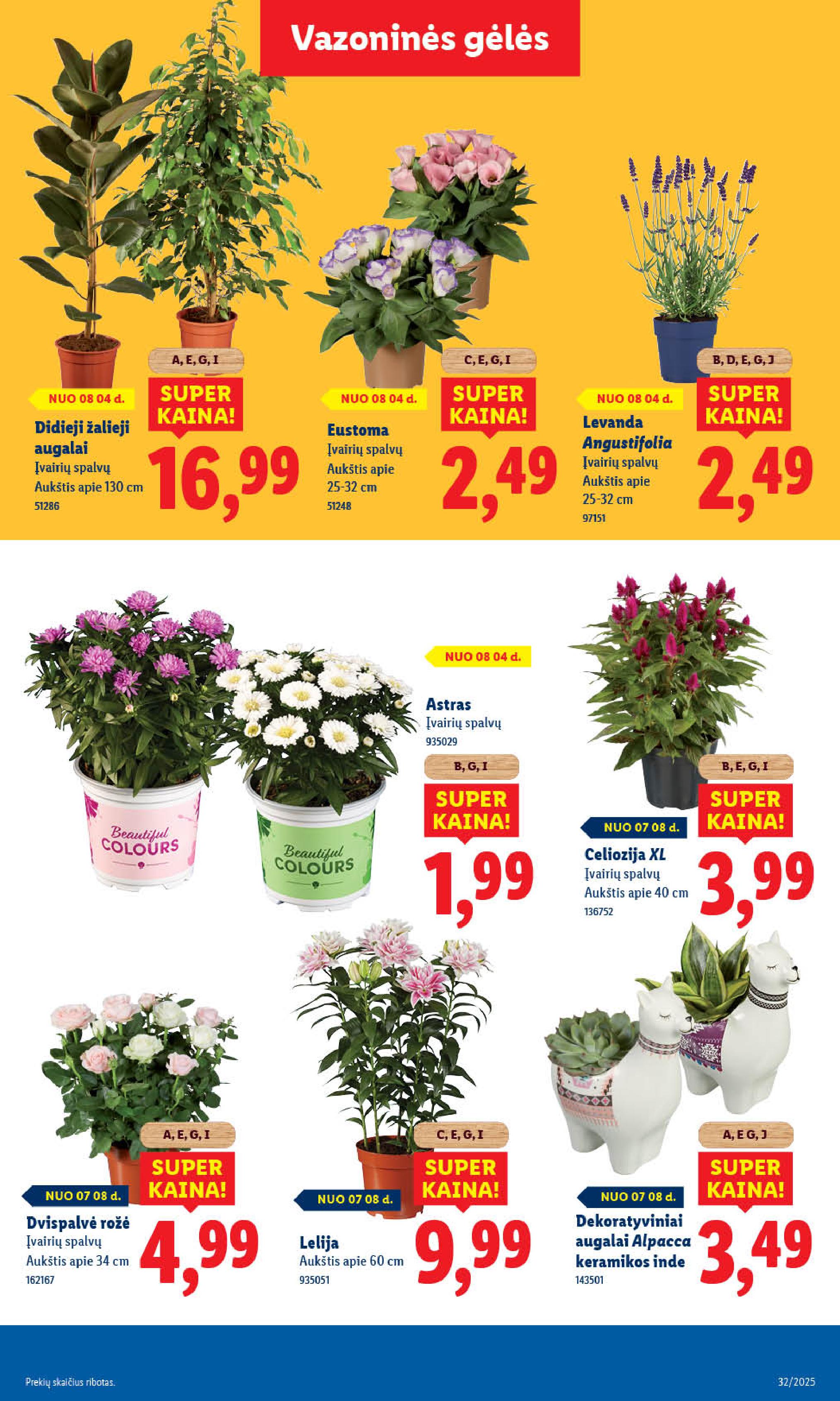 Naujausias LIDL kaininis katalogas 2025.08.04 - 2025.08.10