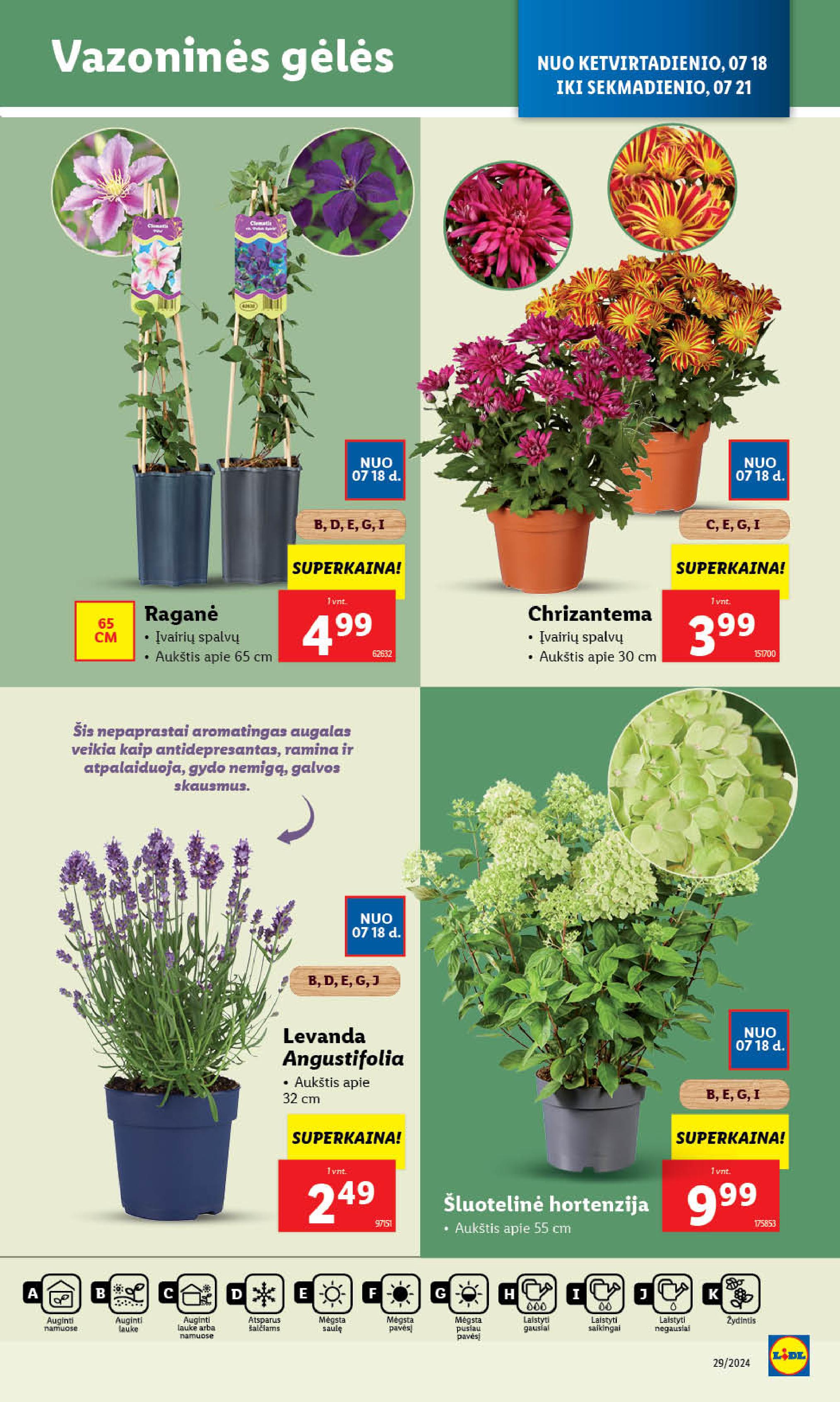 Naujausias LIDL kaininis katalogas 2024.07.15 - 2024.07.21