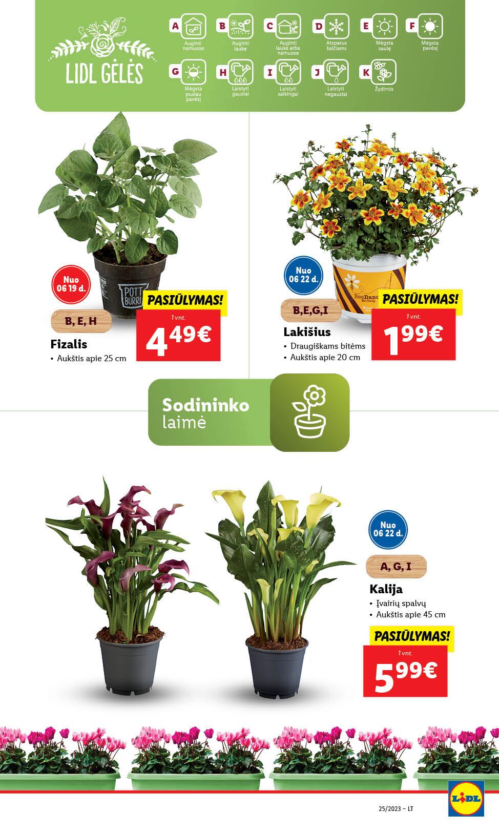 Naujausias LIDL kaininis katalogas 2023.06.19 - 2023.06.25