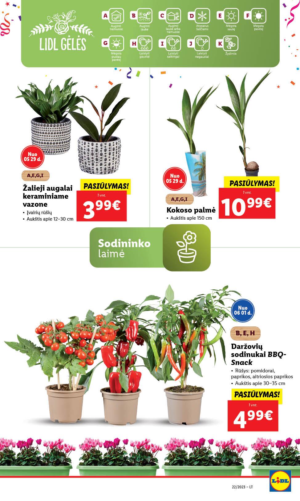 Naujausias LIDL kaininis katalogas 2023.05.29 - 2023.06.04