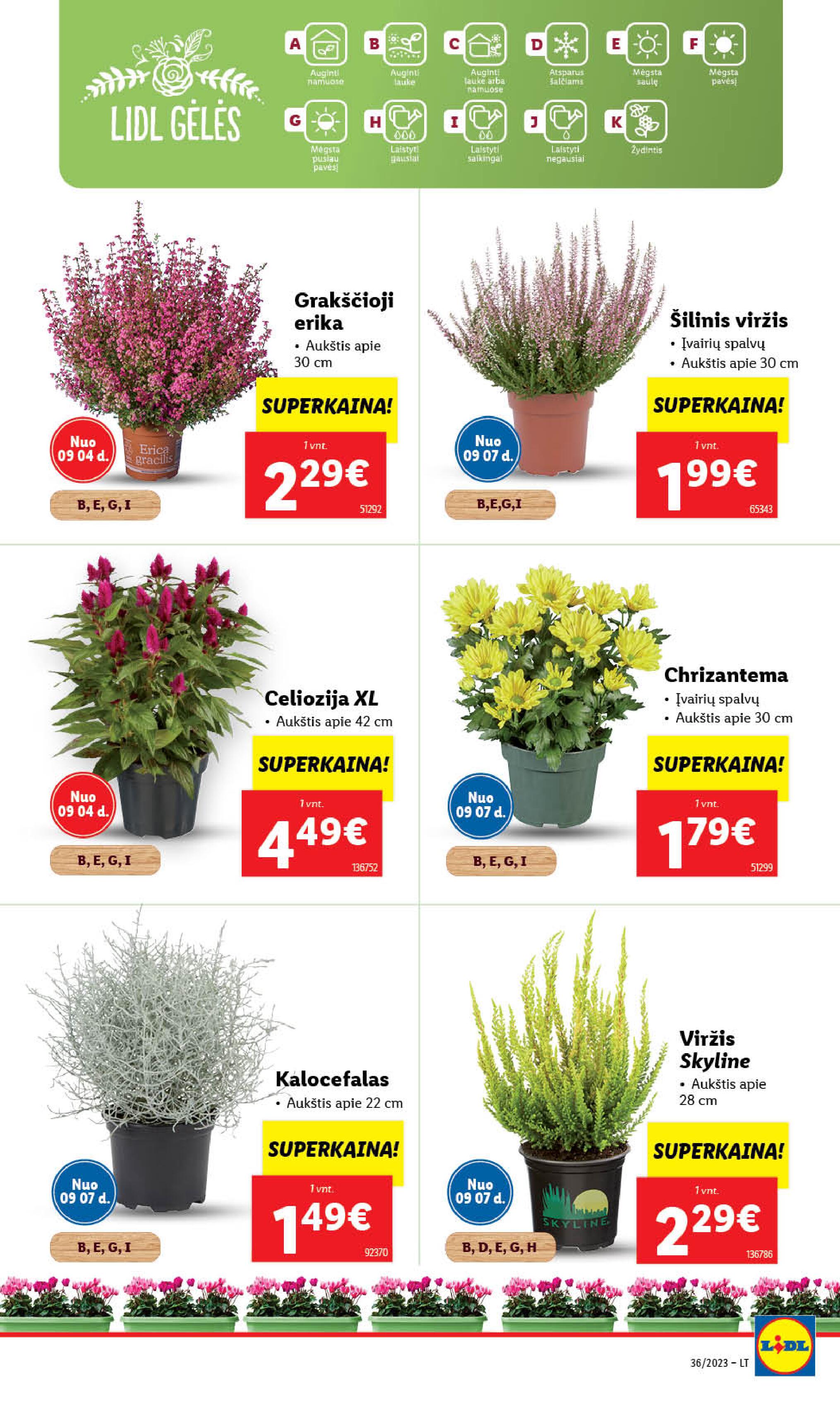 Naujausias LIDL kaininis katalogas 2023.09.04 - 2023.09.10