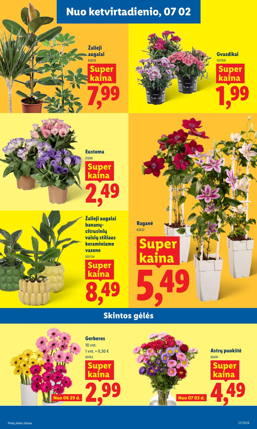 Naujausias LIDL kaininis katalogas 2026.06.29 - 2026.07.05