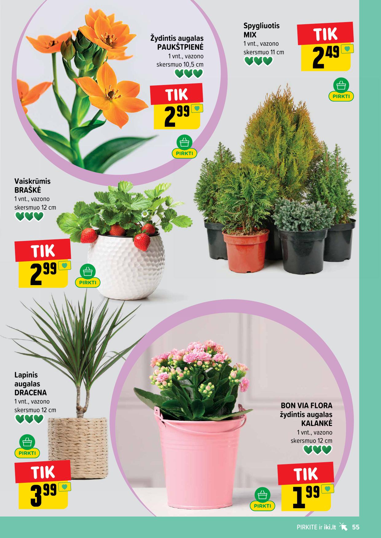 Naujausias IKI kaininis katalogas 2026.04.06 - 2026.04.12