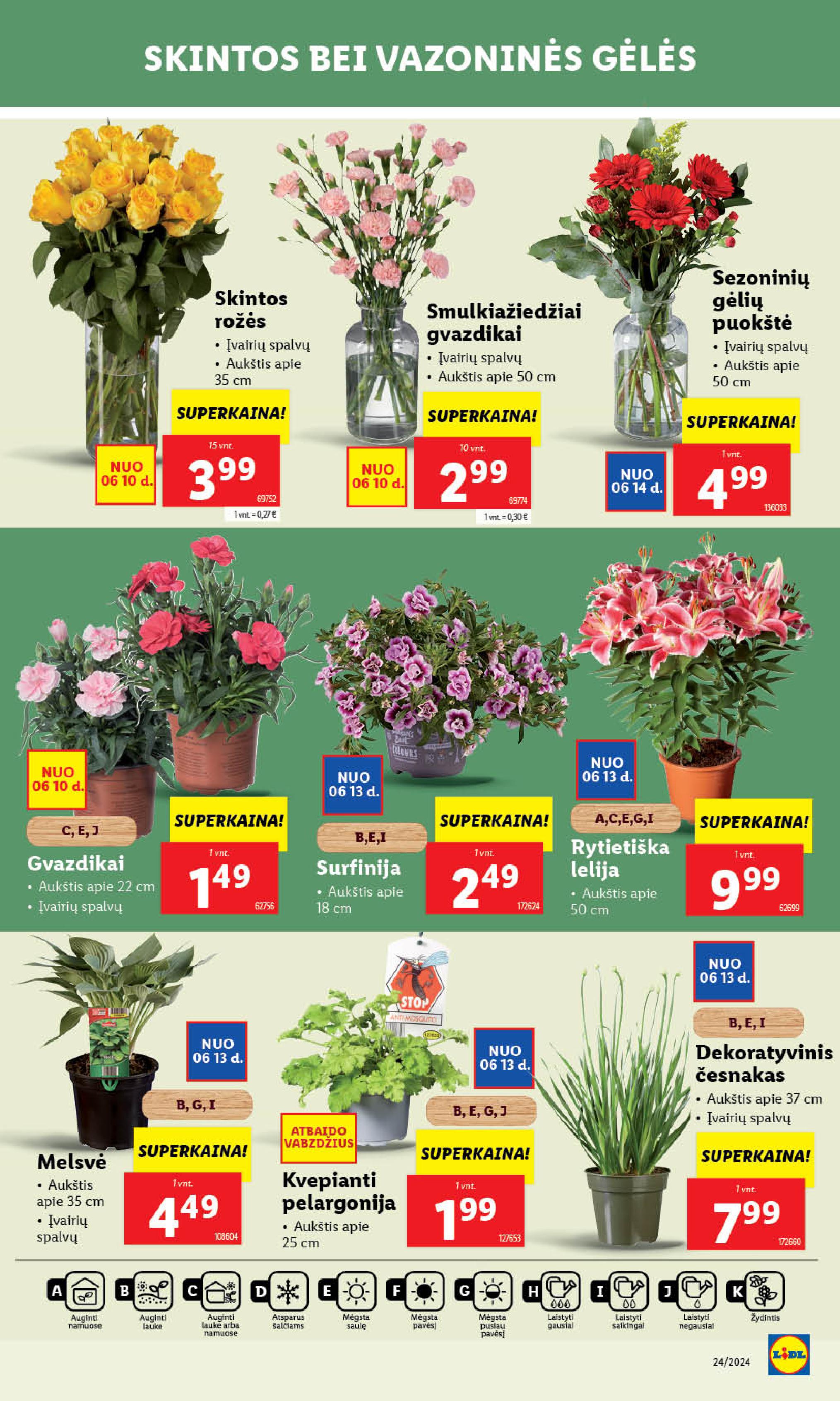 Naujausias LIDL kaininis katalogas 2024.06.10 - 2024.06.16