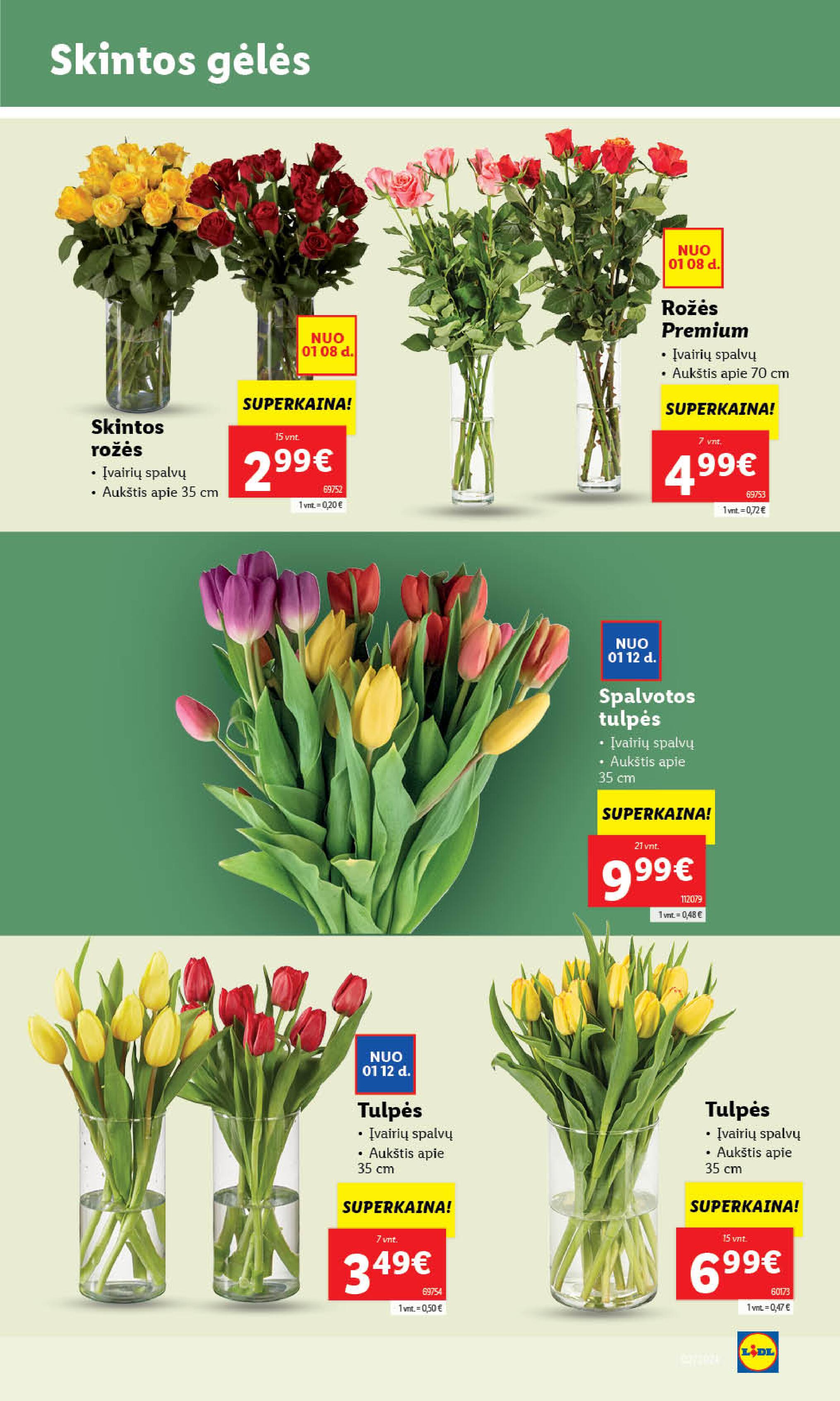 Naujausias LIDL kaininis katalogas 2024.01.08 - 2024.01.14