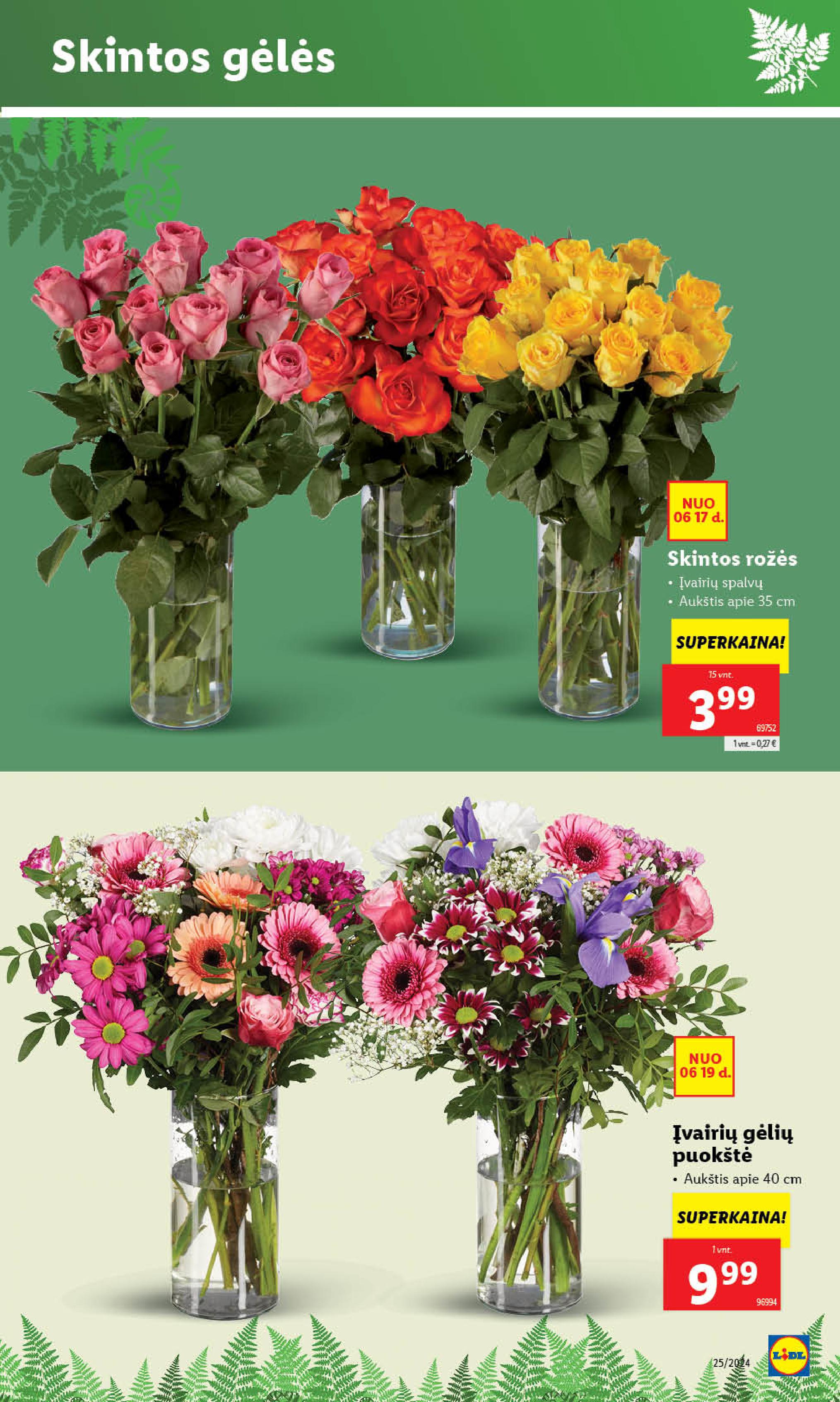 Naujausias LIDL kaininis katalogas 2024.06.17 - 2024.06.23