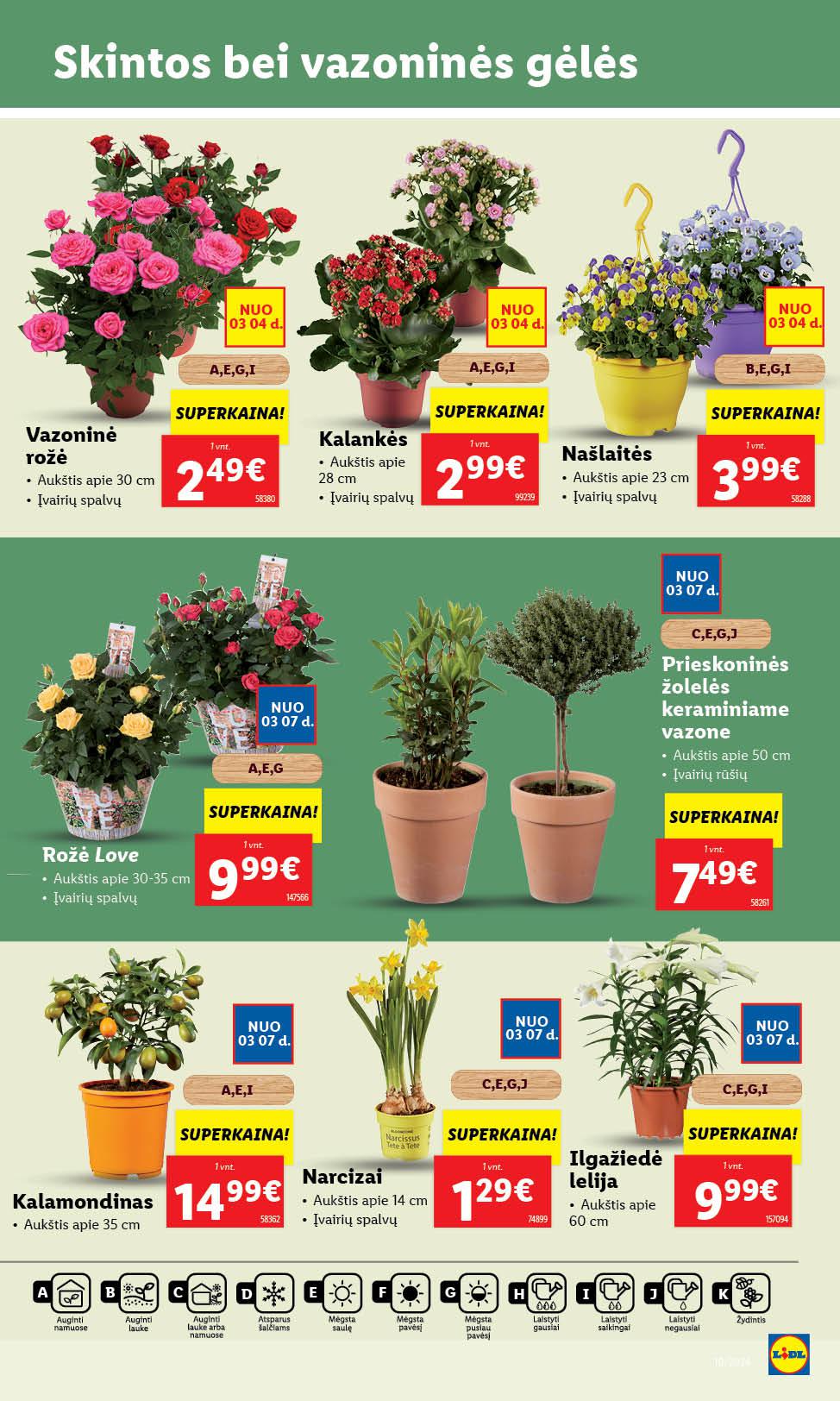 Naujausias LIDL kaininis katalogas 2024.03.04 - 2024.03.10