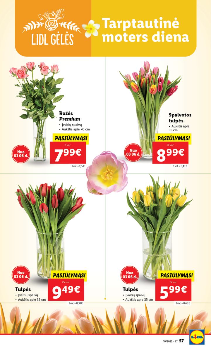 Naujausias LIDL kaininis katalogas 2023.03.06 - 2023.03.12