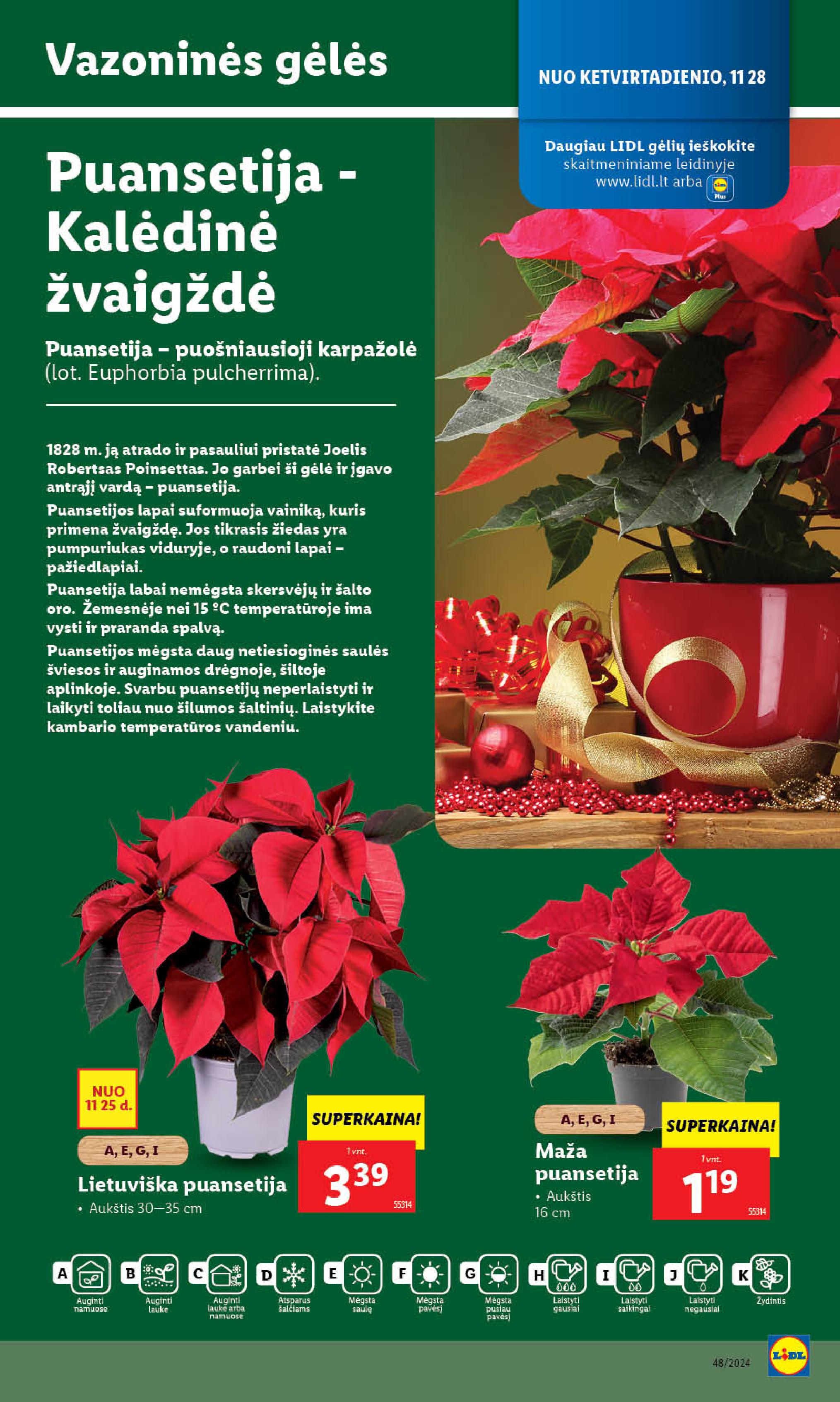 Naujausias LIDL kaininis katalogas 2024.11.25 - 2024.12.01