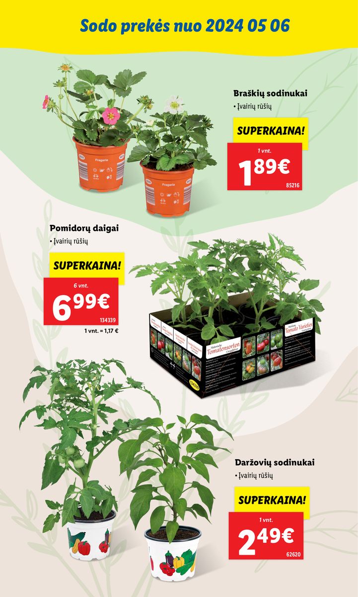LIDL SODO PREKIŲ KATALOGAS "Visi į sodą"