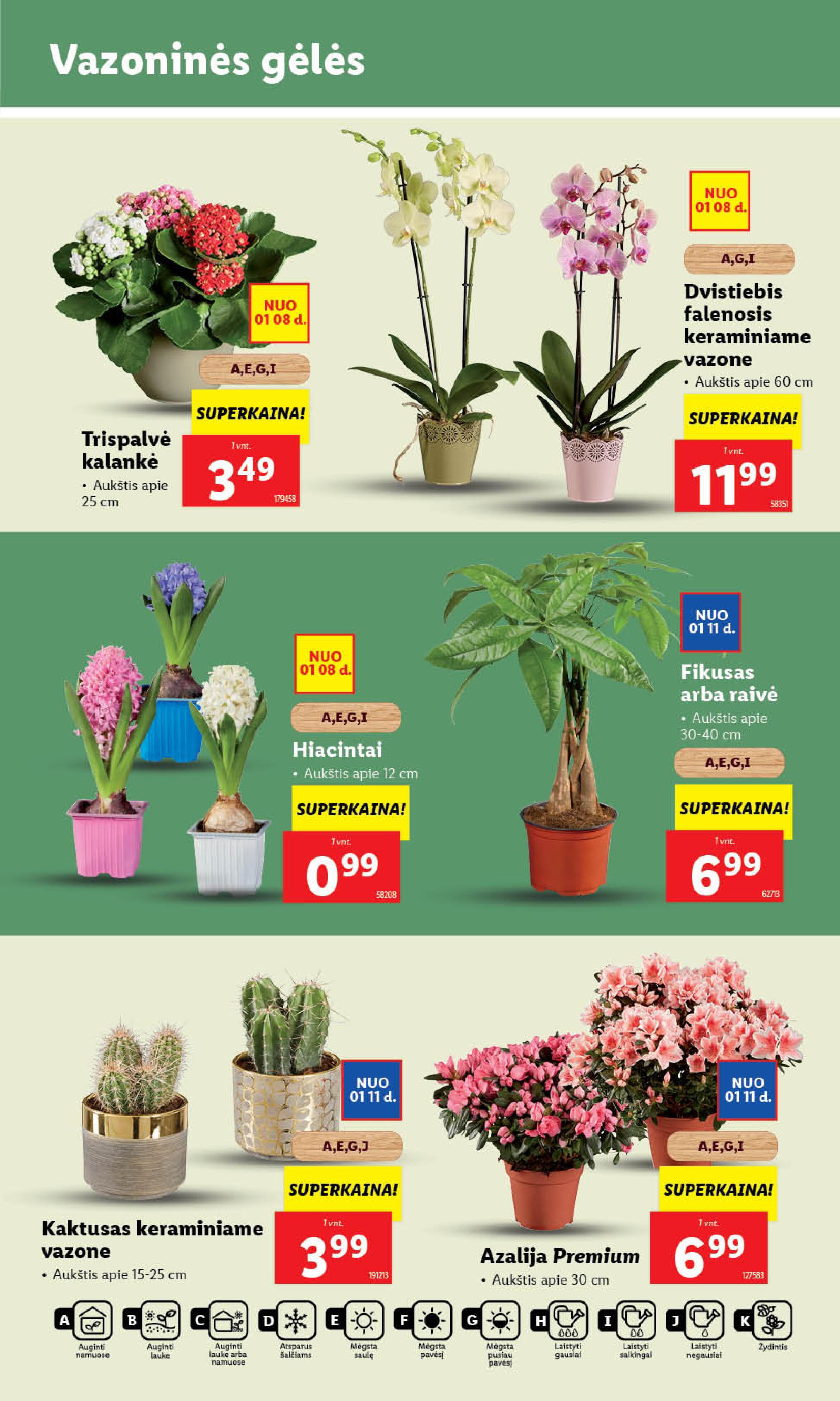Naujausias LIDL kaininis katalogas 2024.01.08 - 2024.01.14
