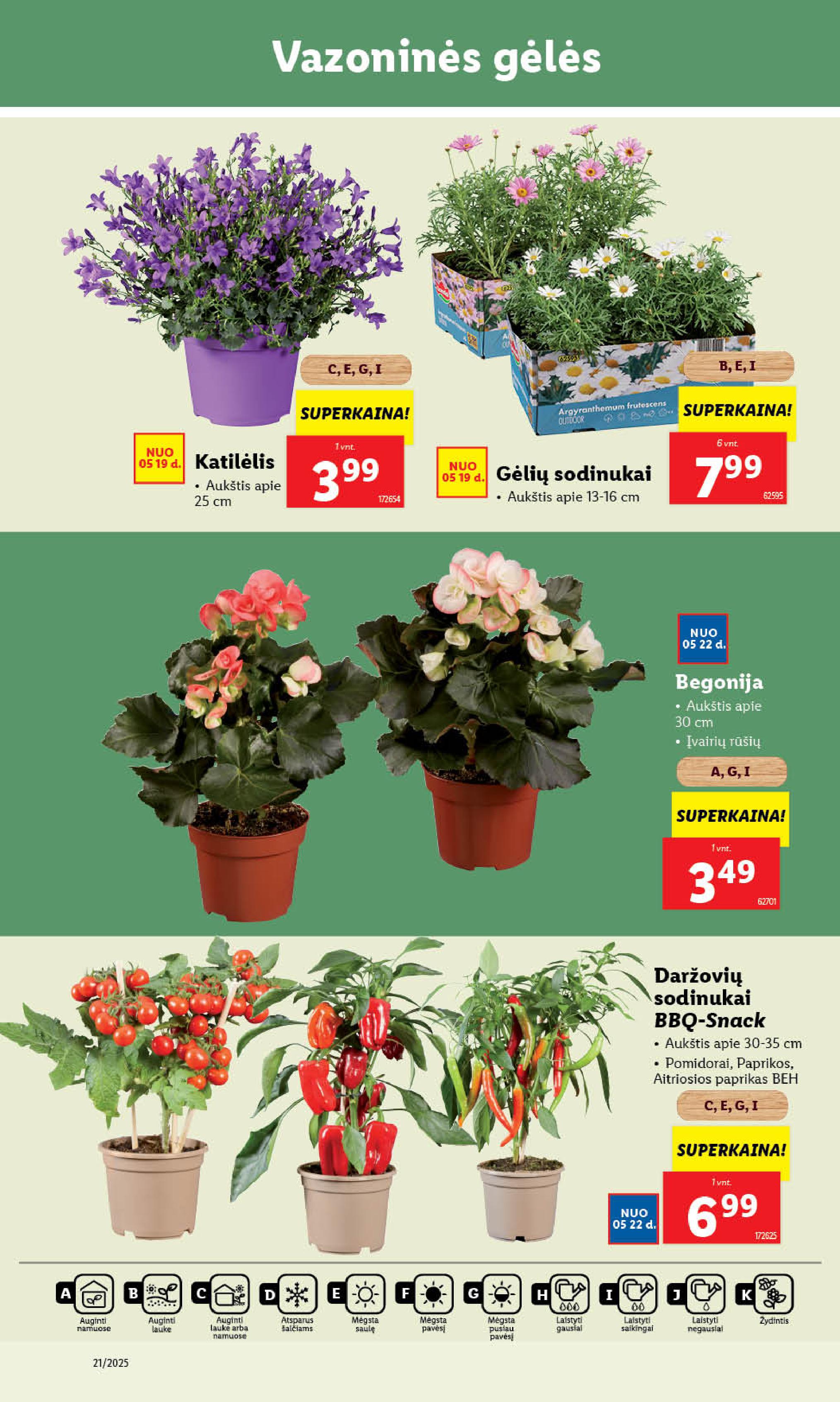 Naujausias LIDL kaininis katalogas 2025.05.19 - 2025.05.25