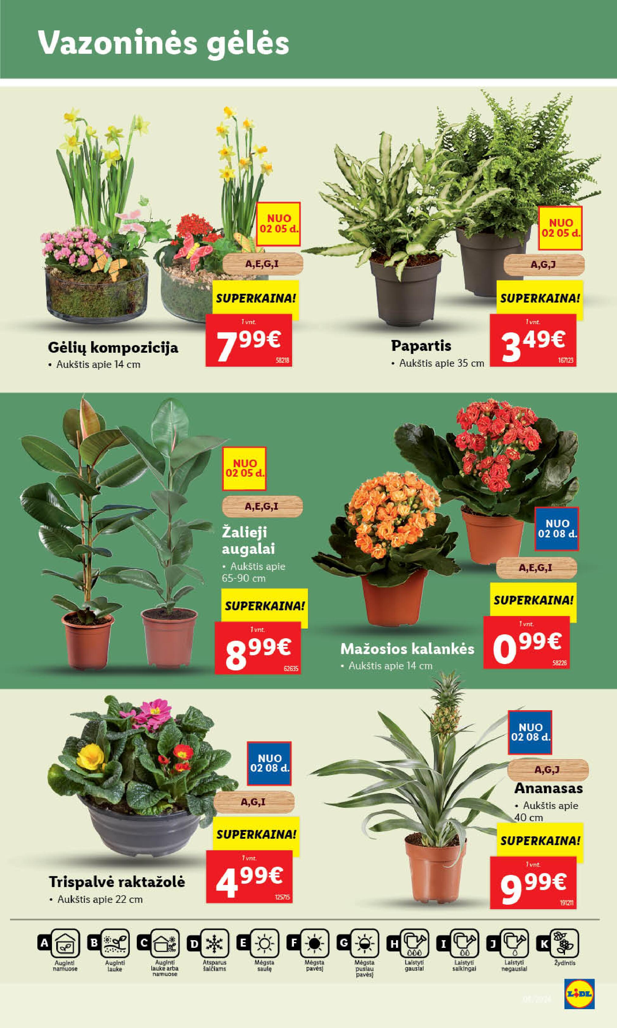 Naujausias LIDL kaininis katalogas 2024.02.05 - 2024.02.11
