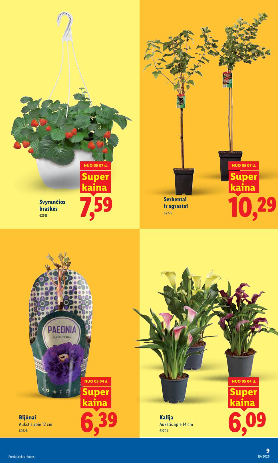 Naujausias LIDL kaininis katalogas 2026.05.04 - 2026.05.10